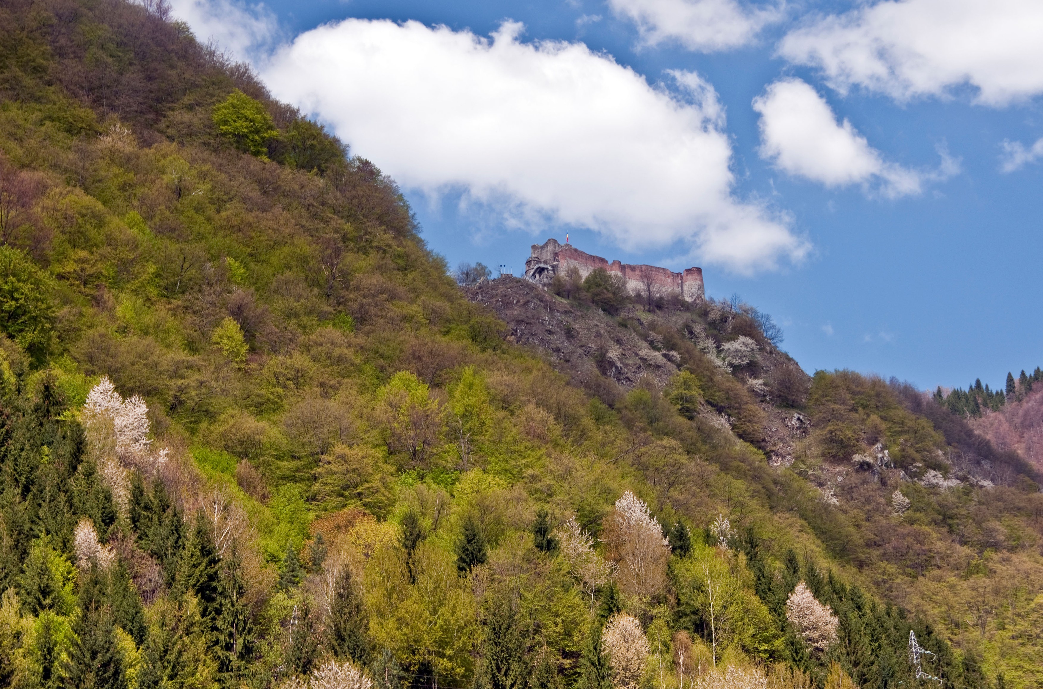 profimedia-0050032256