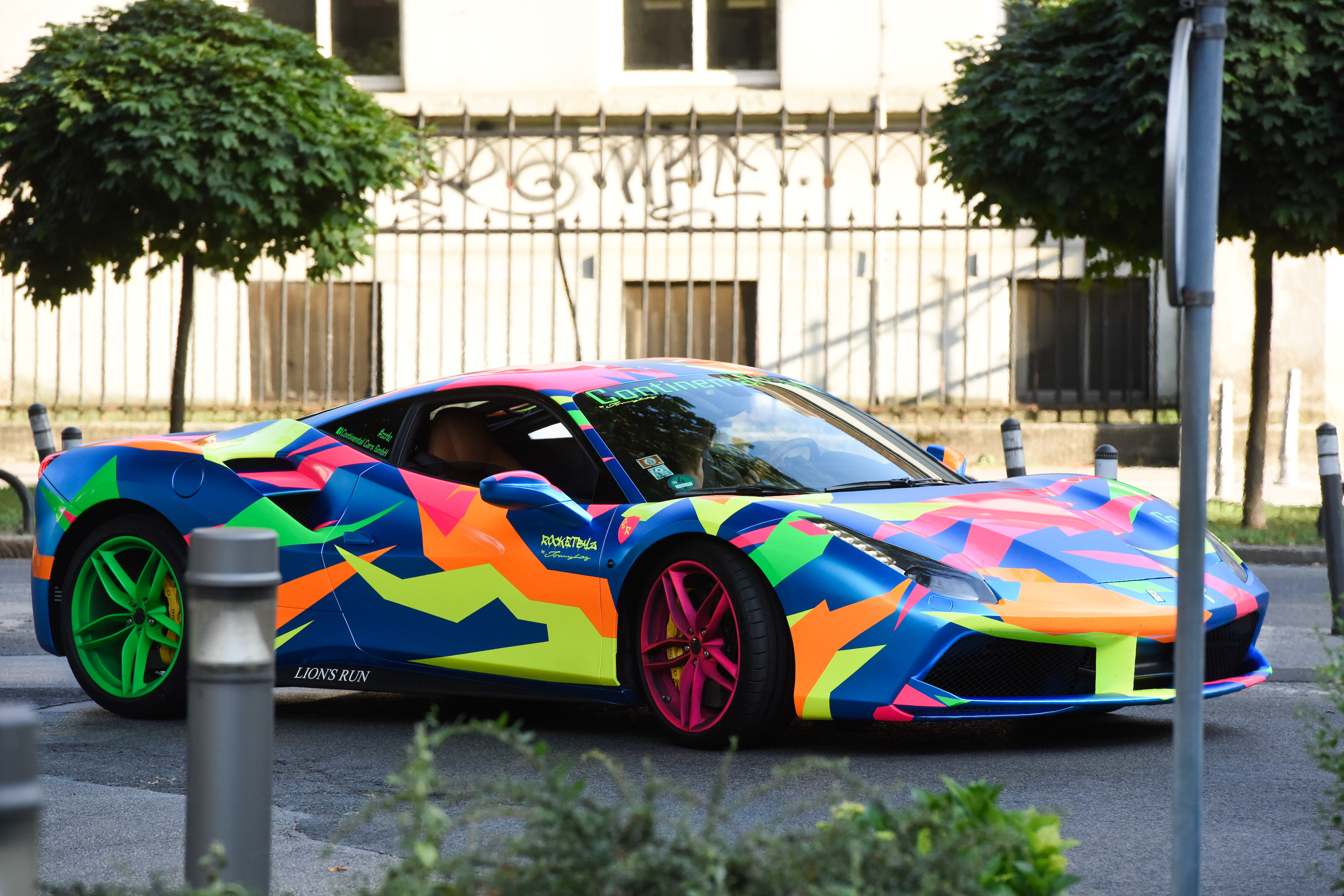 rally_lions_run-10-100617