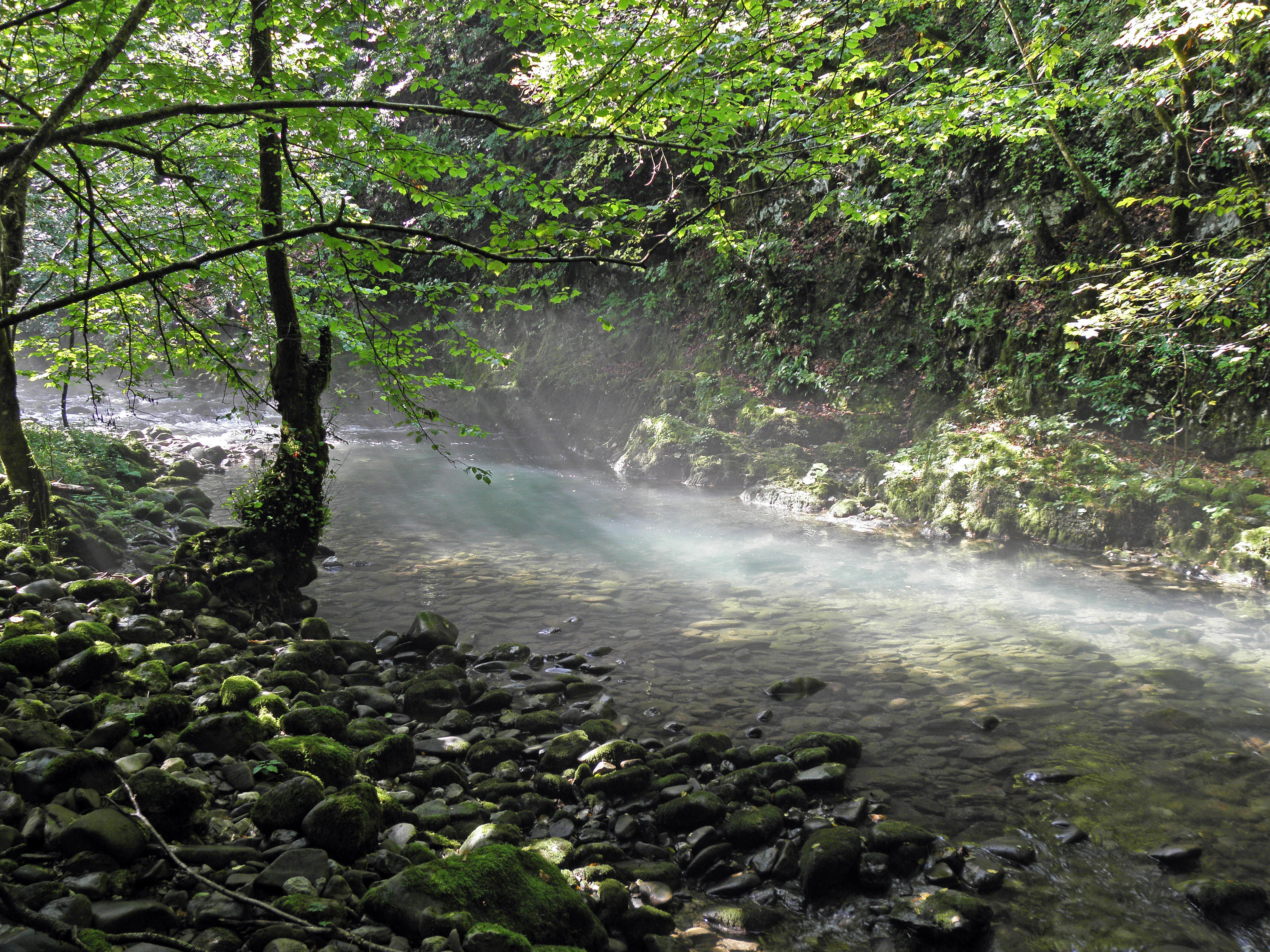 profimedia-0317837187