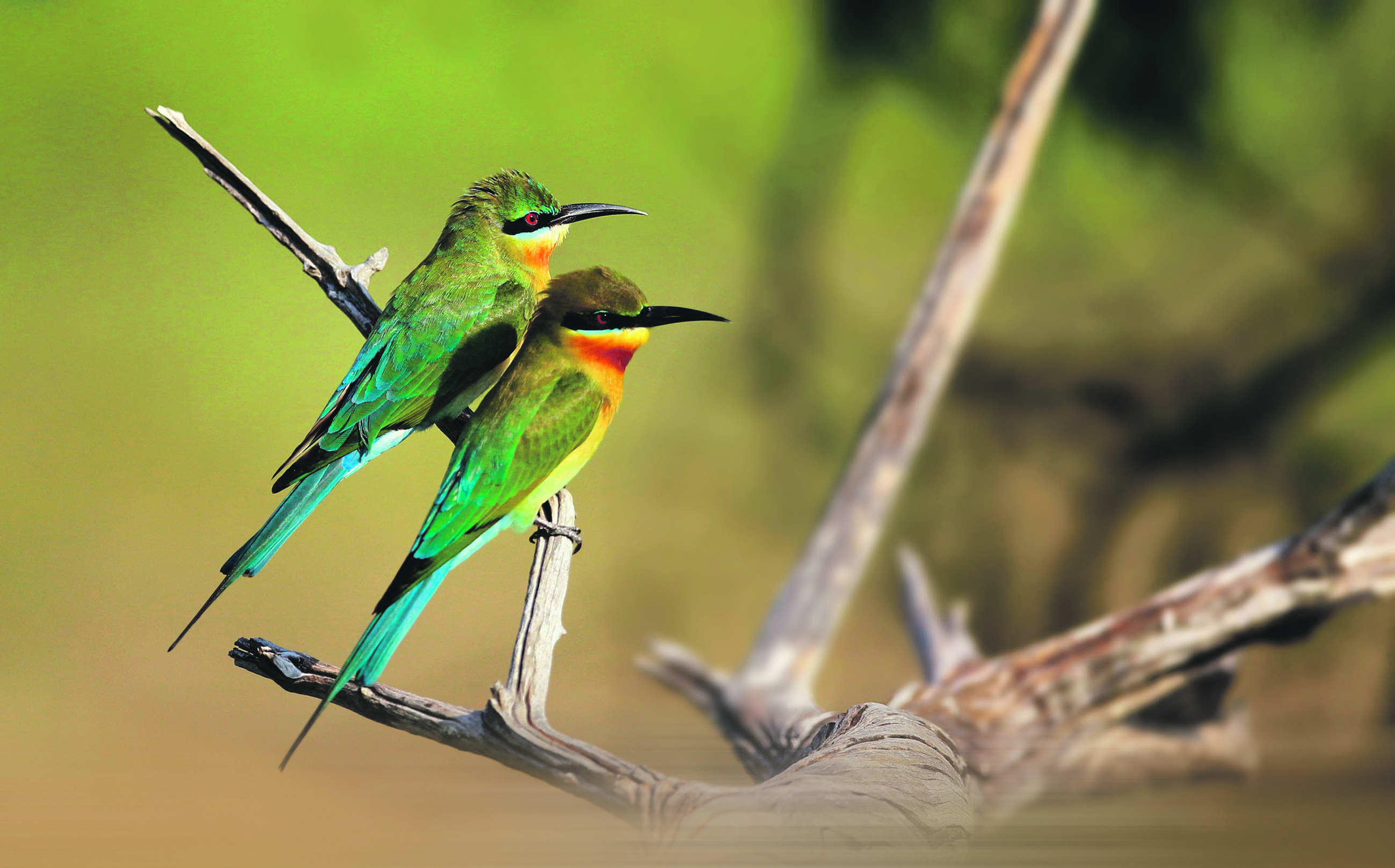 129707-166520-shutterstock_643185715