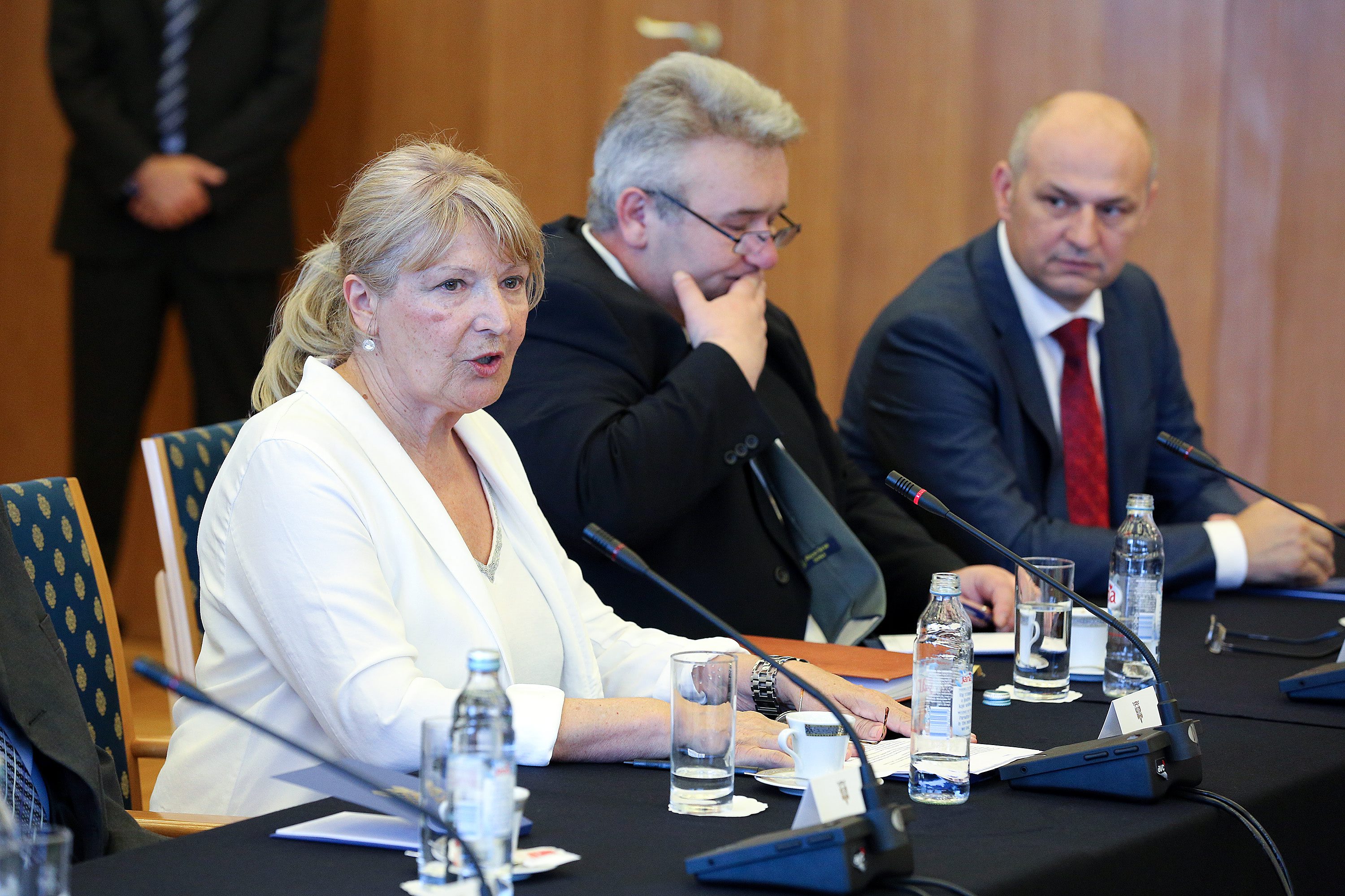 Miriam Kervatin, Mario Strinavić, Mislav Kolakušić.