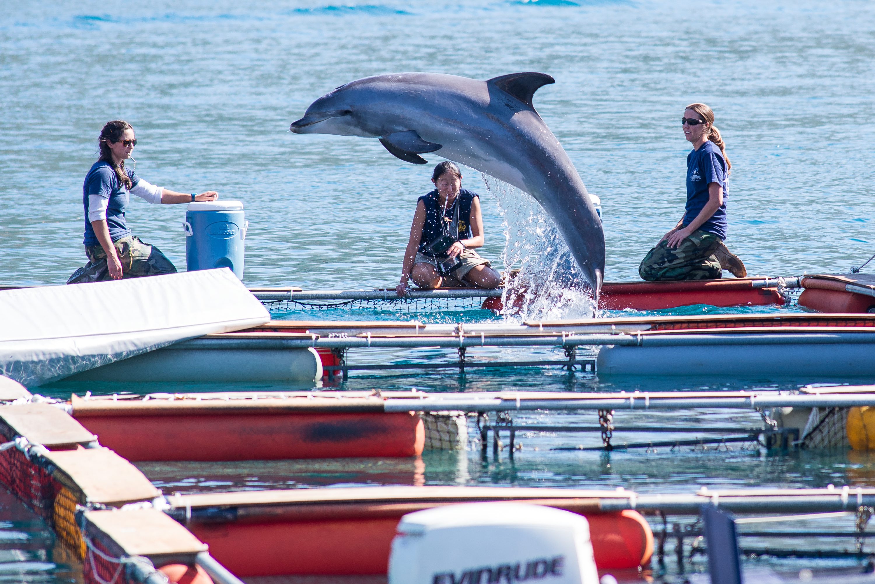 09-2013_CROPIX_izbor10
