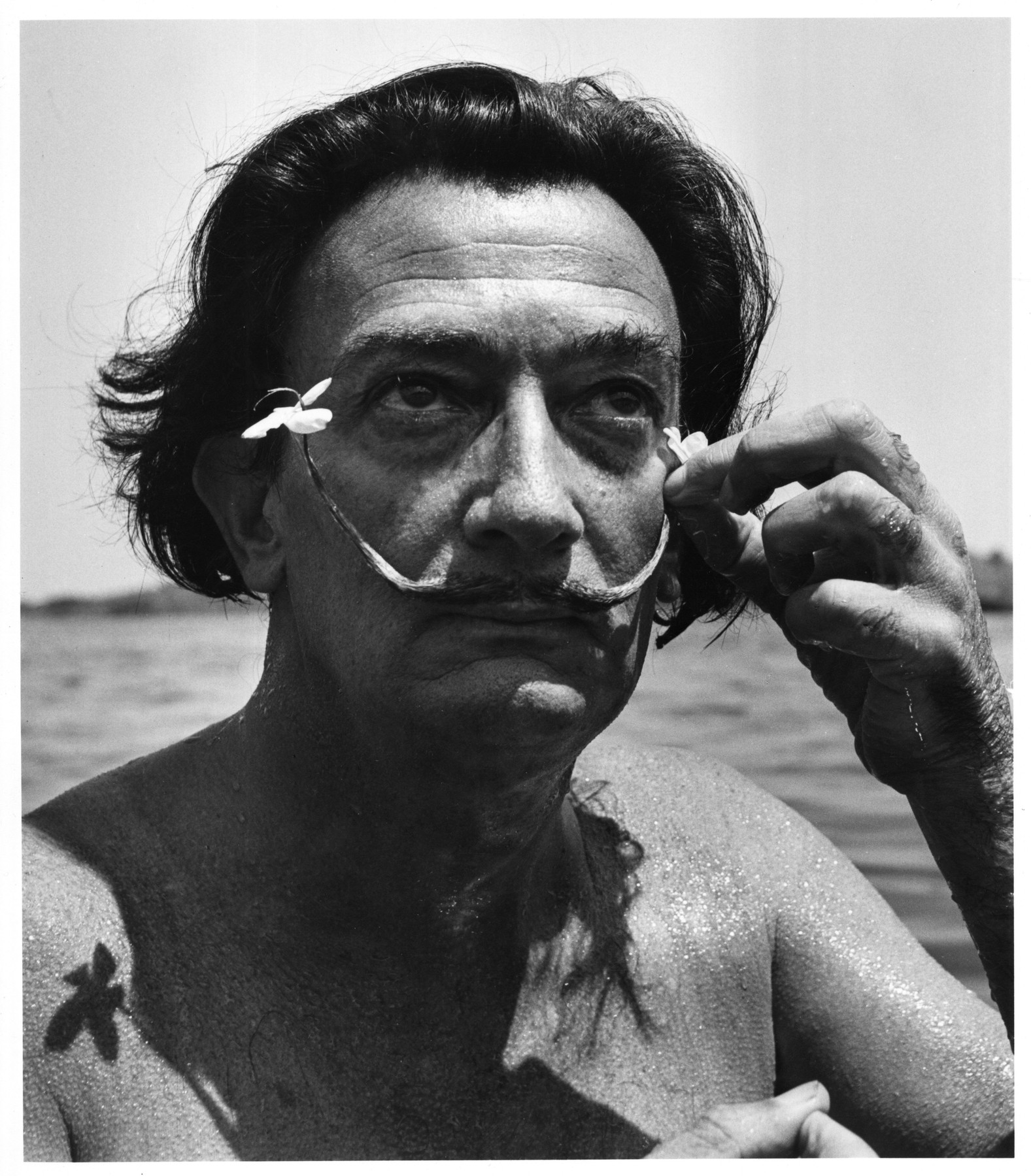 profimedia-0277527722_1