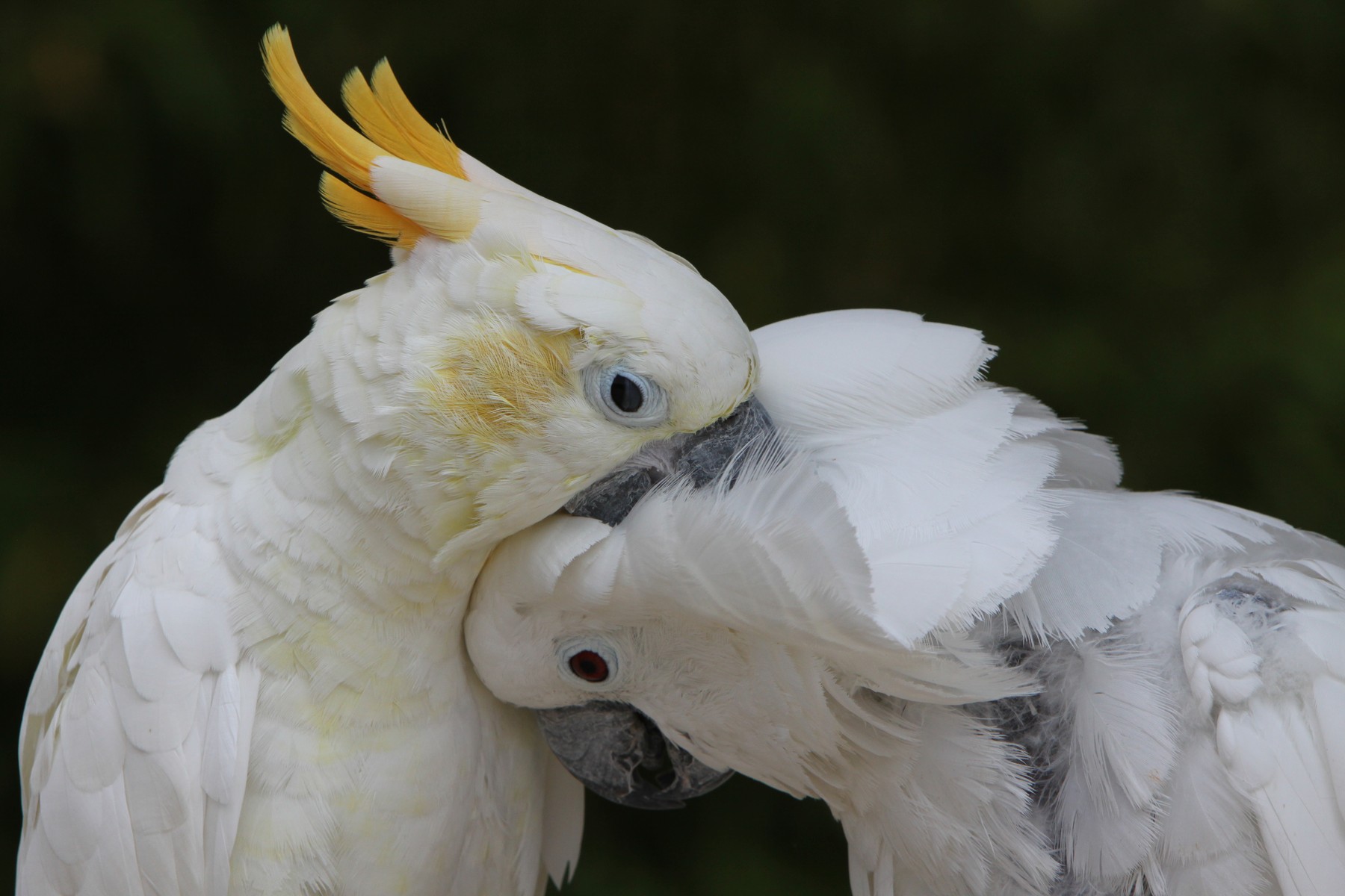 profimedia-0335950176