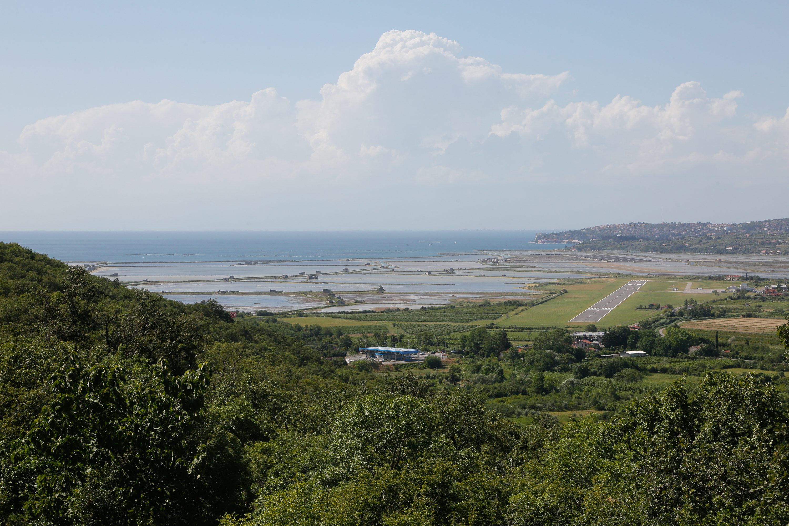 arbitraza_piranski19-290617