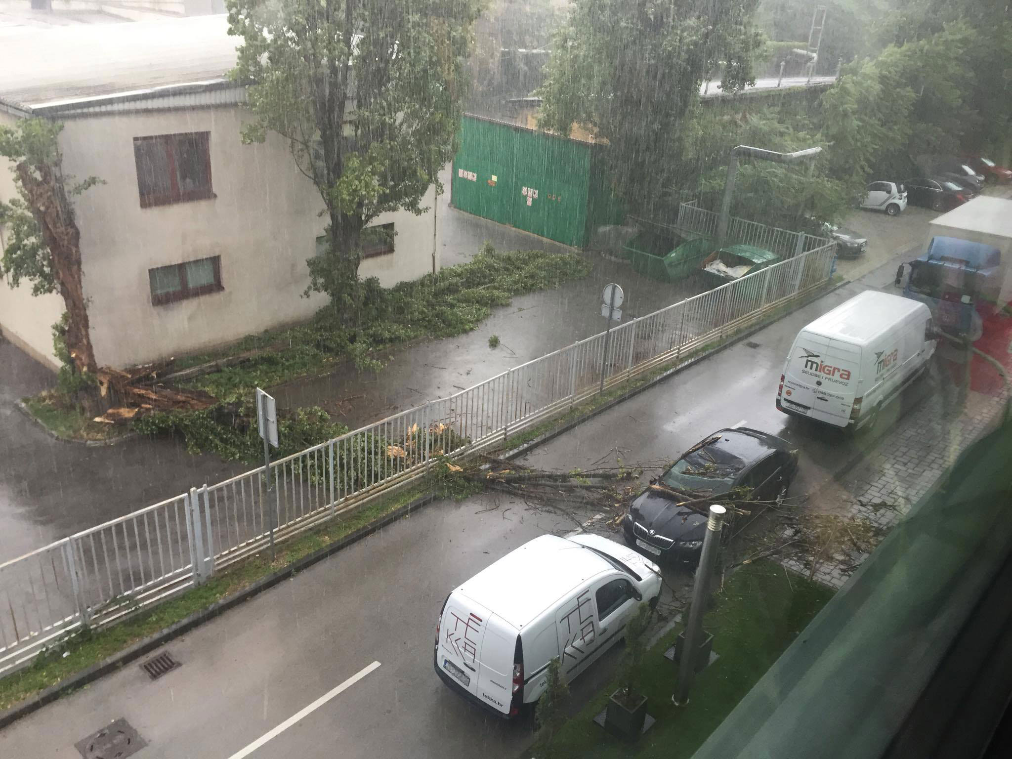 Stablo se srušilo u Radničkoj cesti i oštetilo parkiranu Škodu