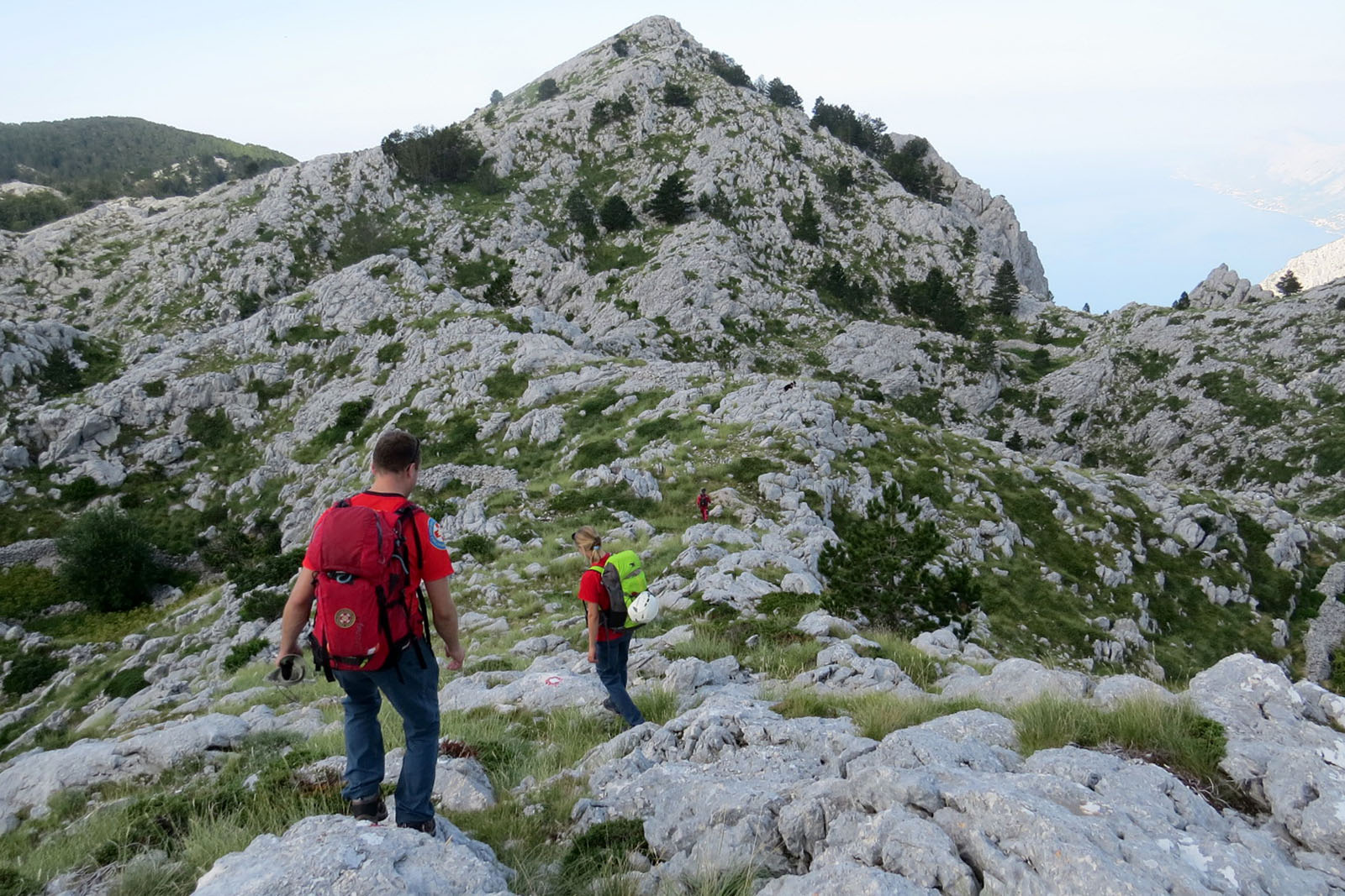 gss_akcija15-050814