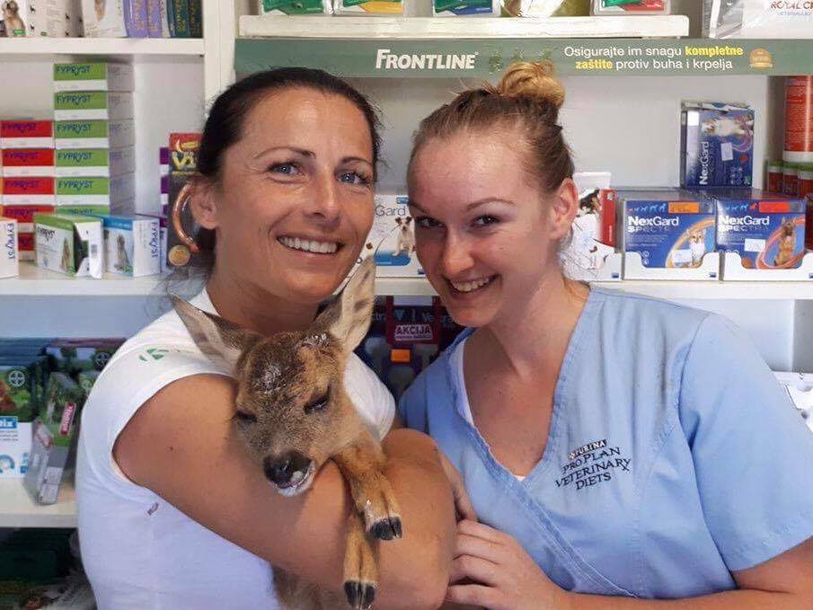 18893040_1898985750317956_3198565563227792695_n