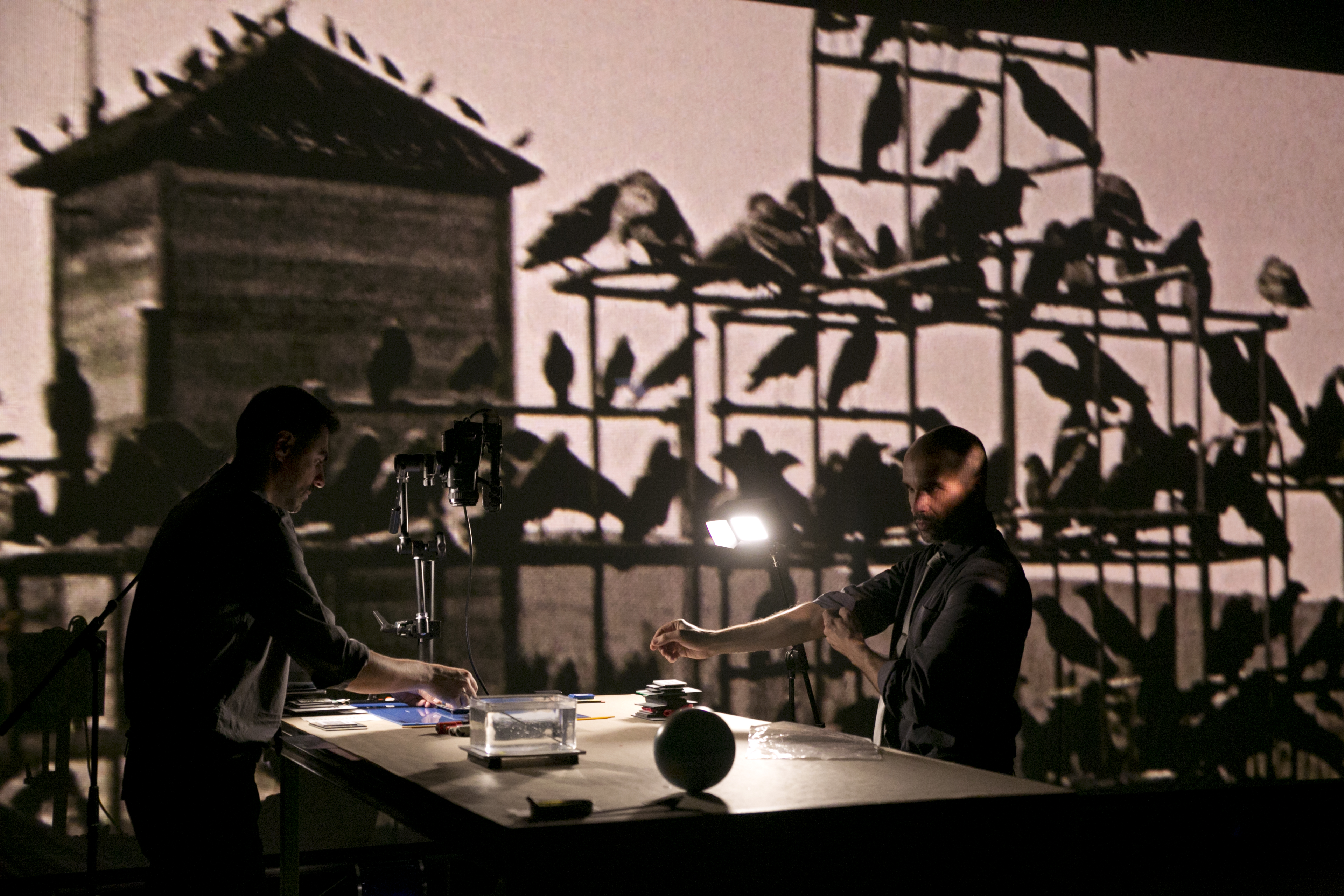 Prizor iz multimedijalne predstave Birdie (Ptičica)