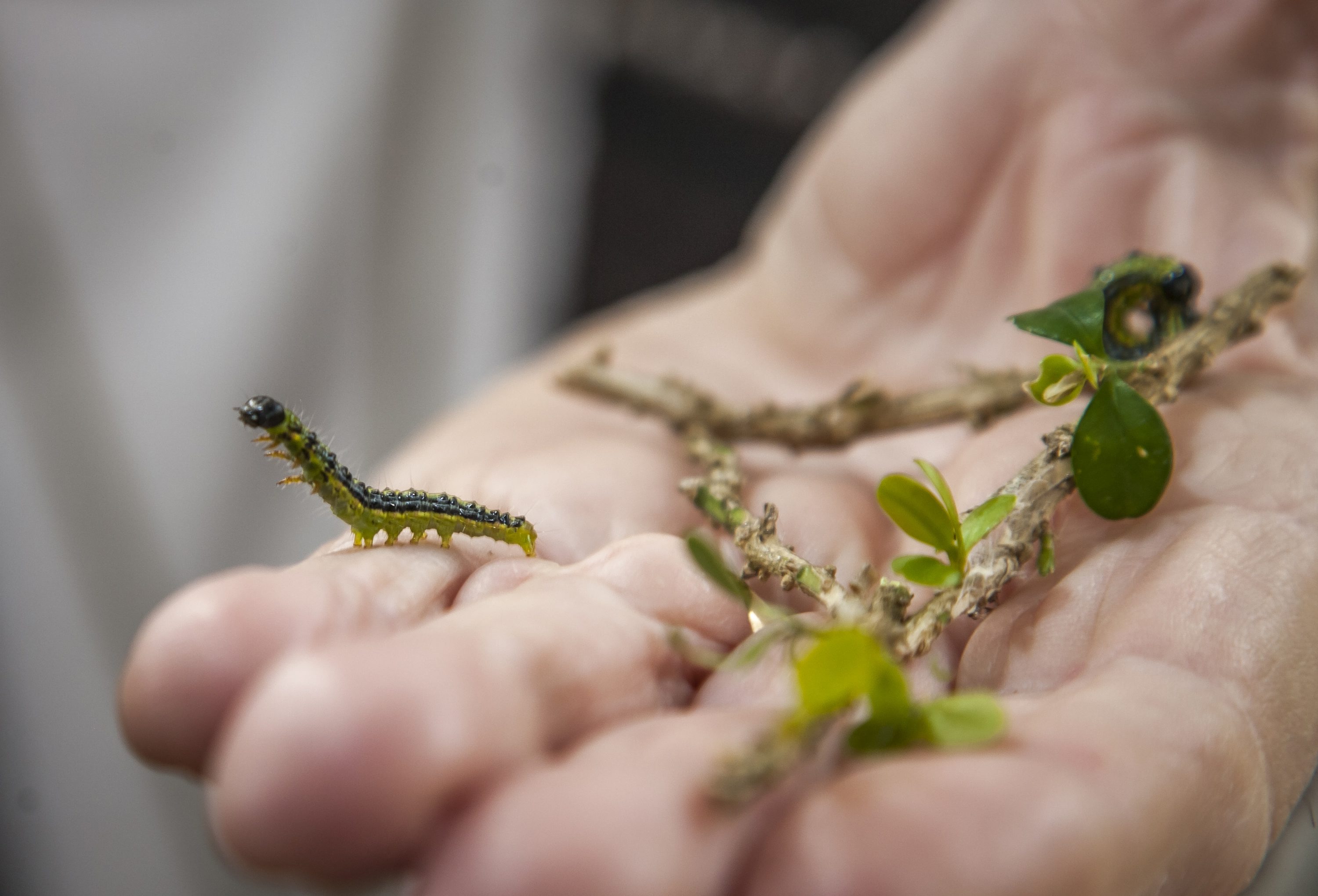 biblijski_vrt8-300316