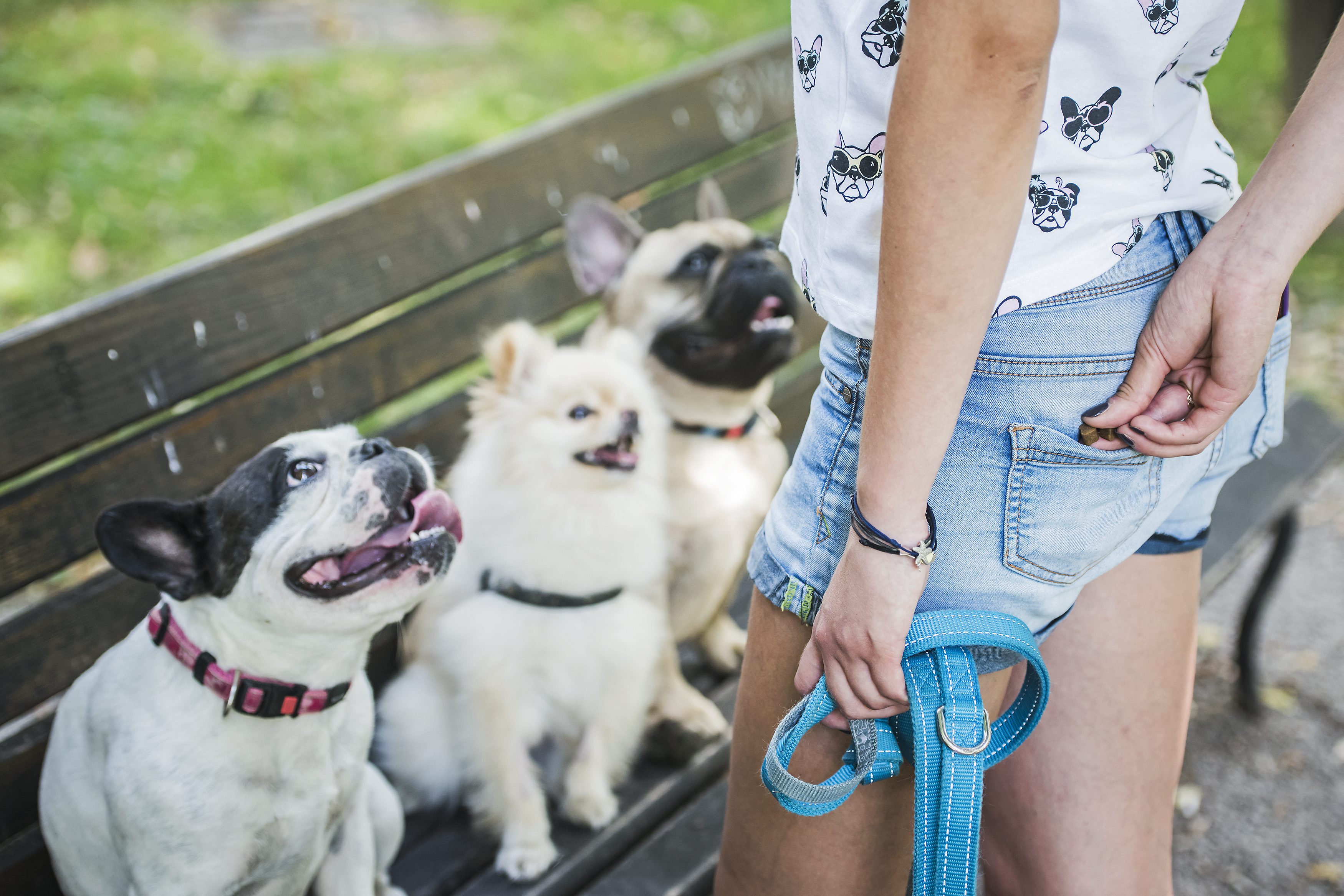 spanovic_psi18-100717