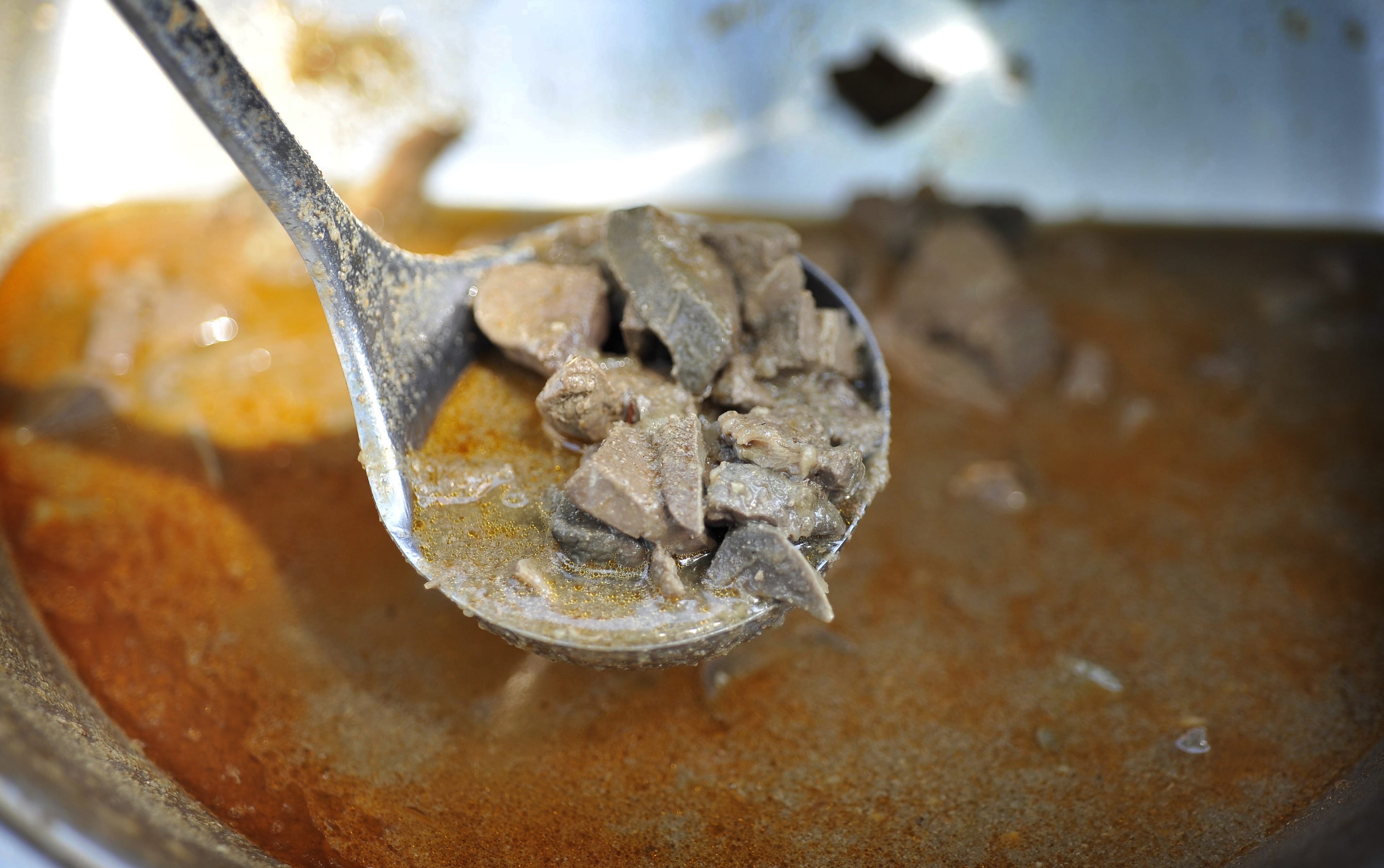 gastro_bol14-260617 (1)