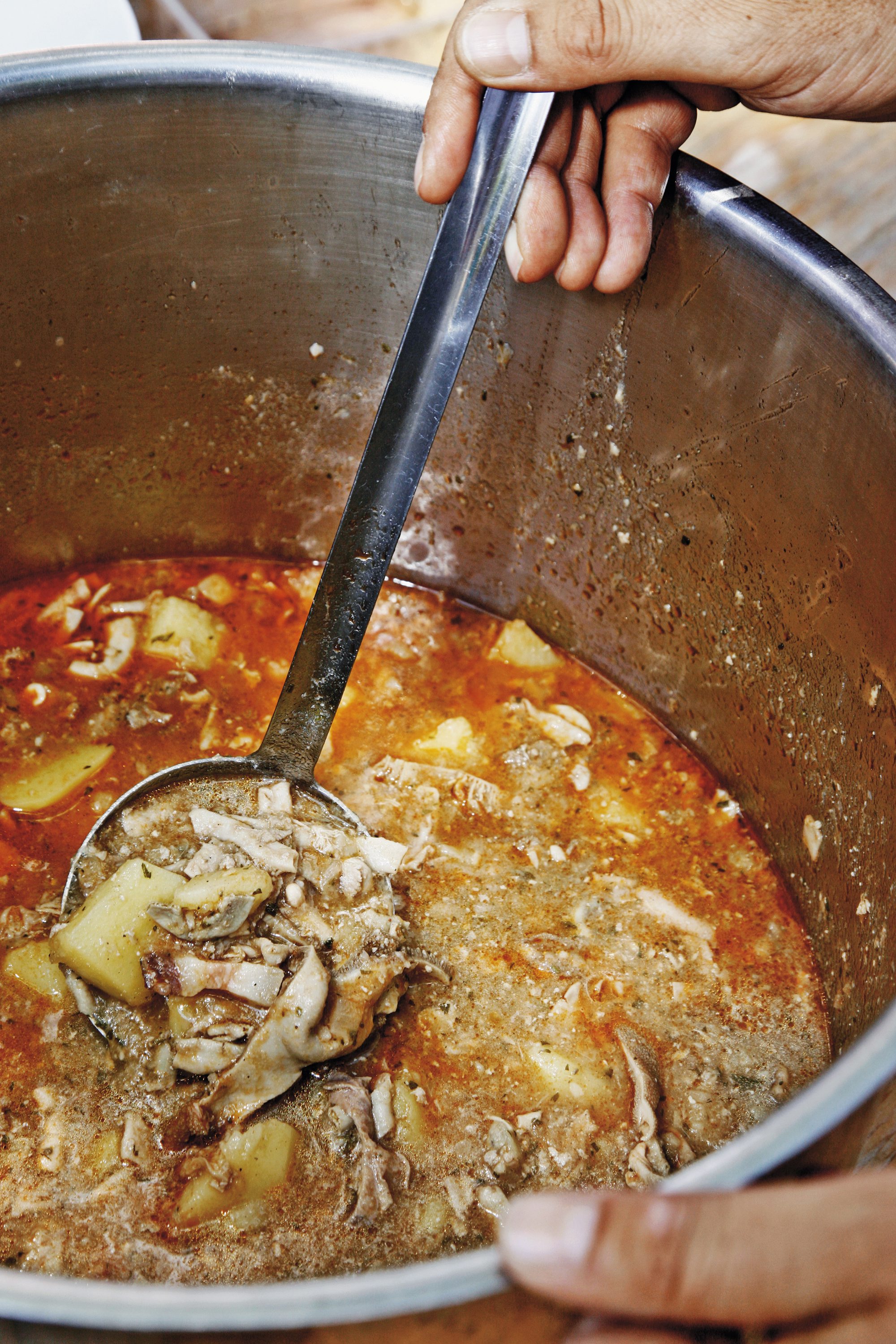 trudna_teca14-260615 (2)