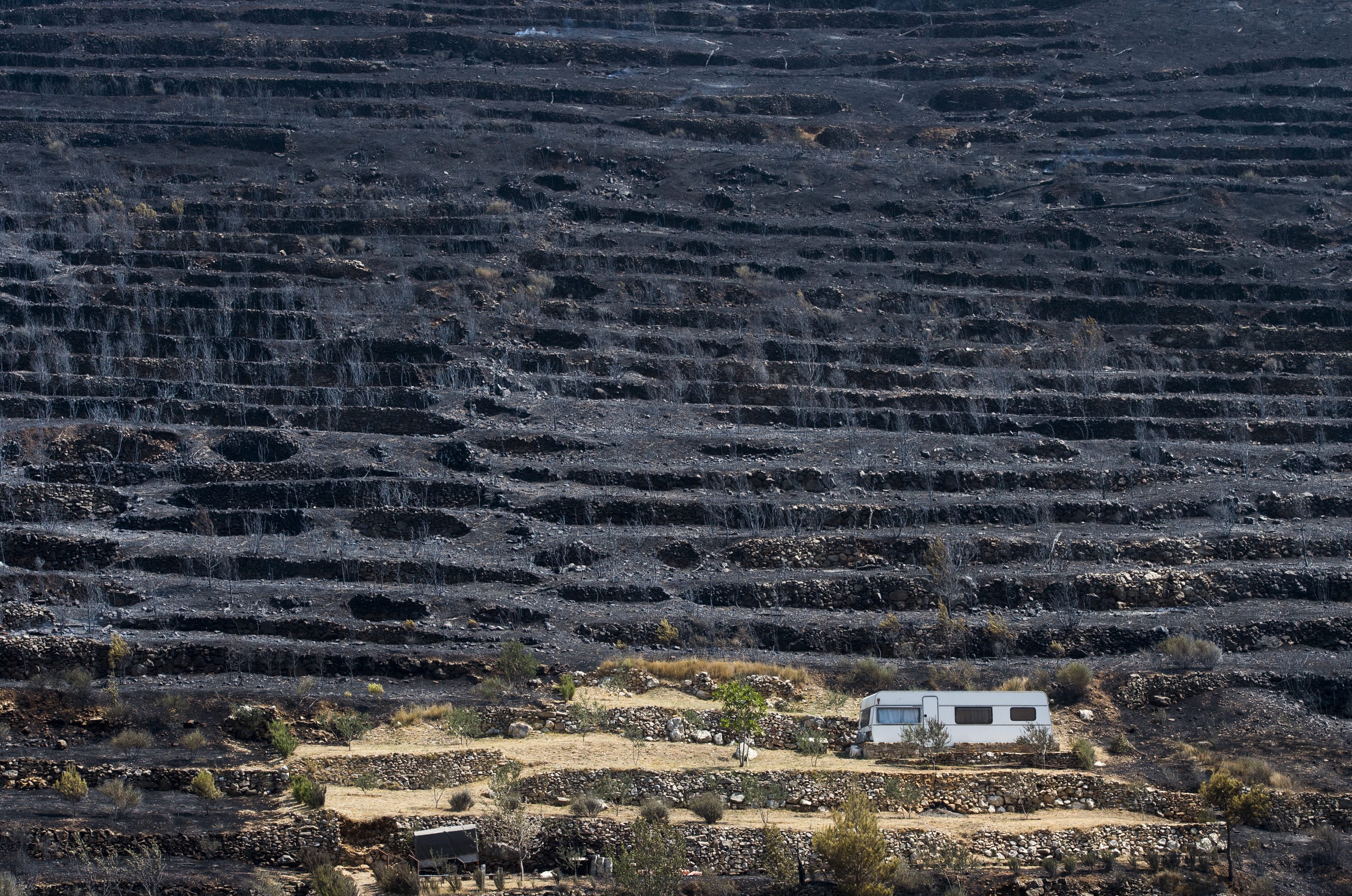 srinjine_pozariste13210