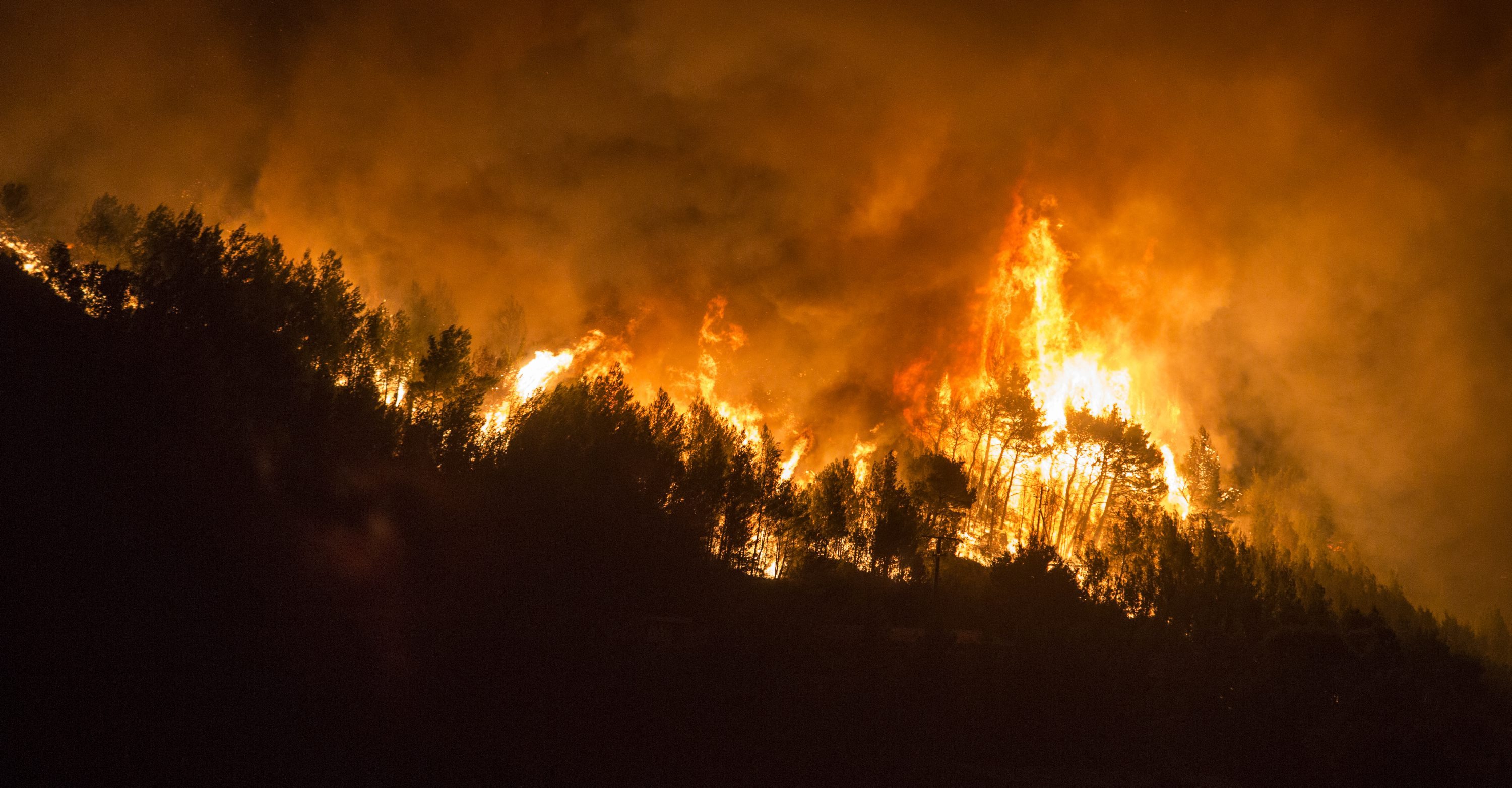 Veliki šumski pozar došao do kuća u predjelu Žminjača na južnim obroncima brda Perun