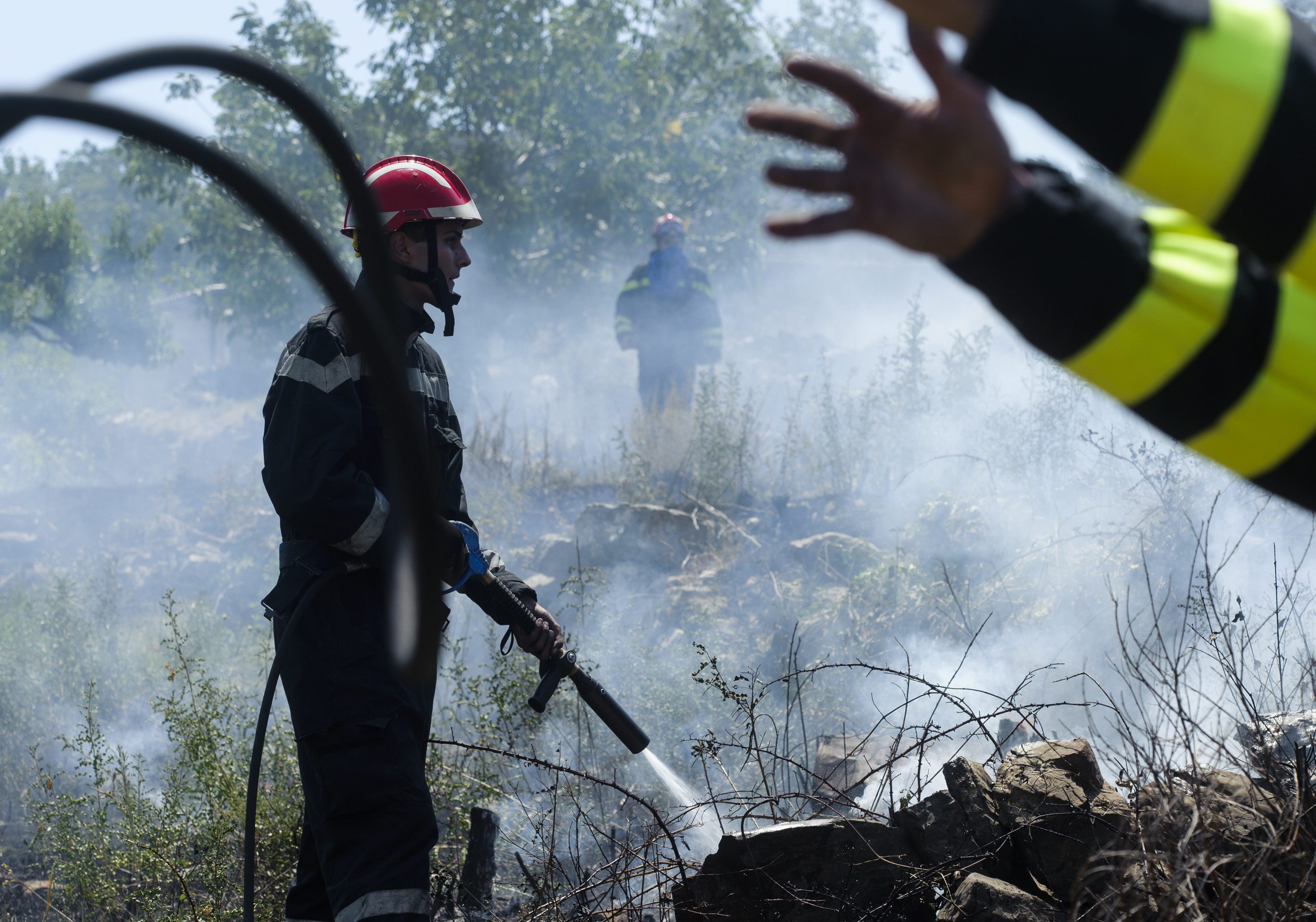 srinjine_pozariste13201