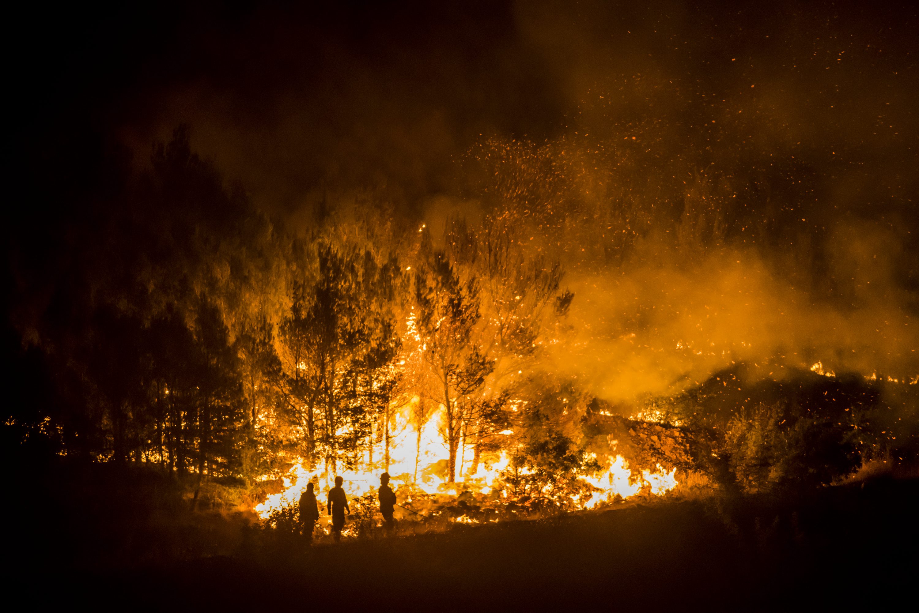 pozar_trtar19-170717