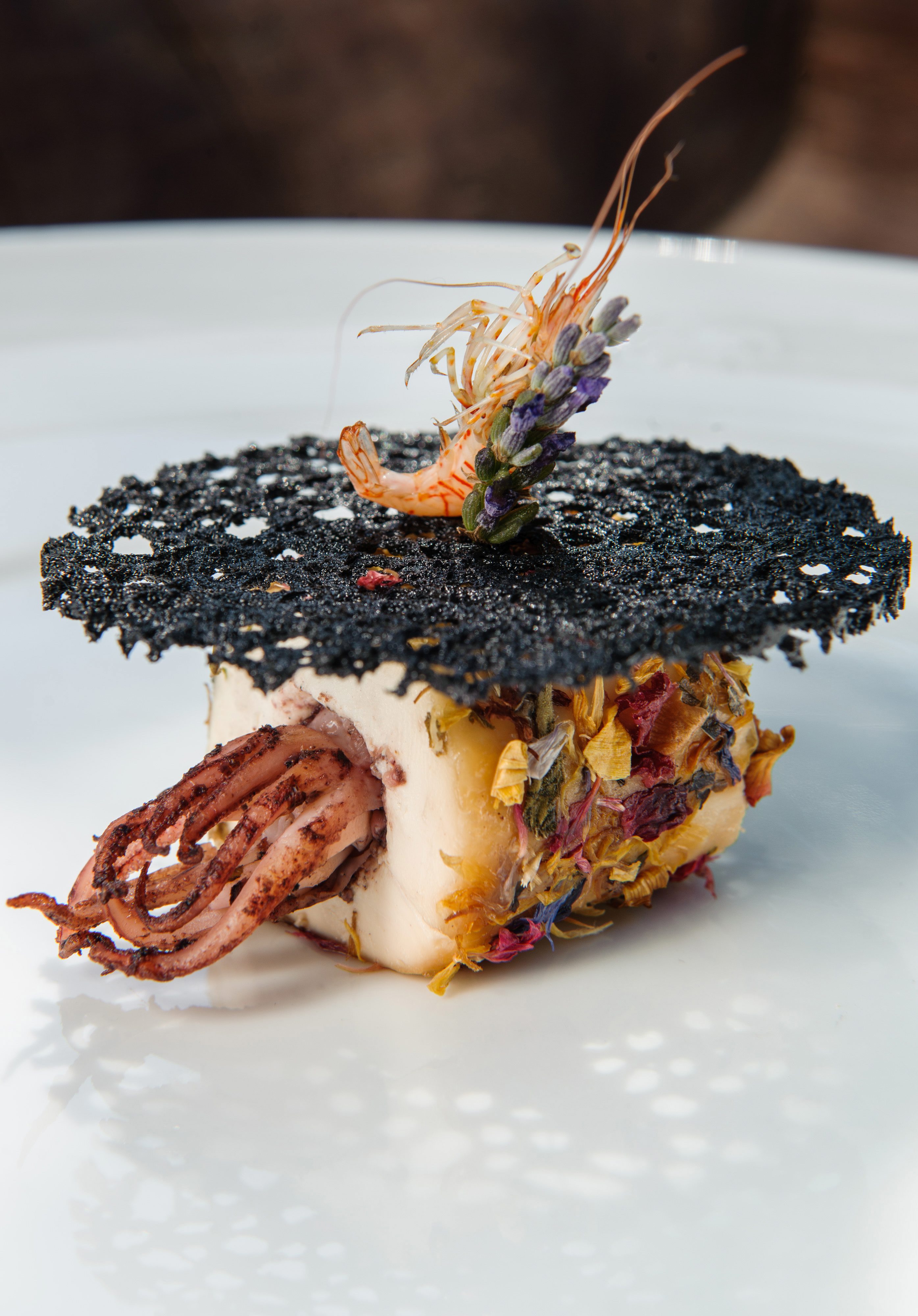 jastog_zirojevic5-240617