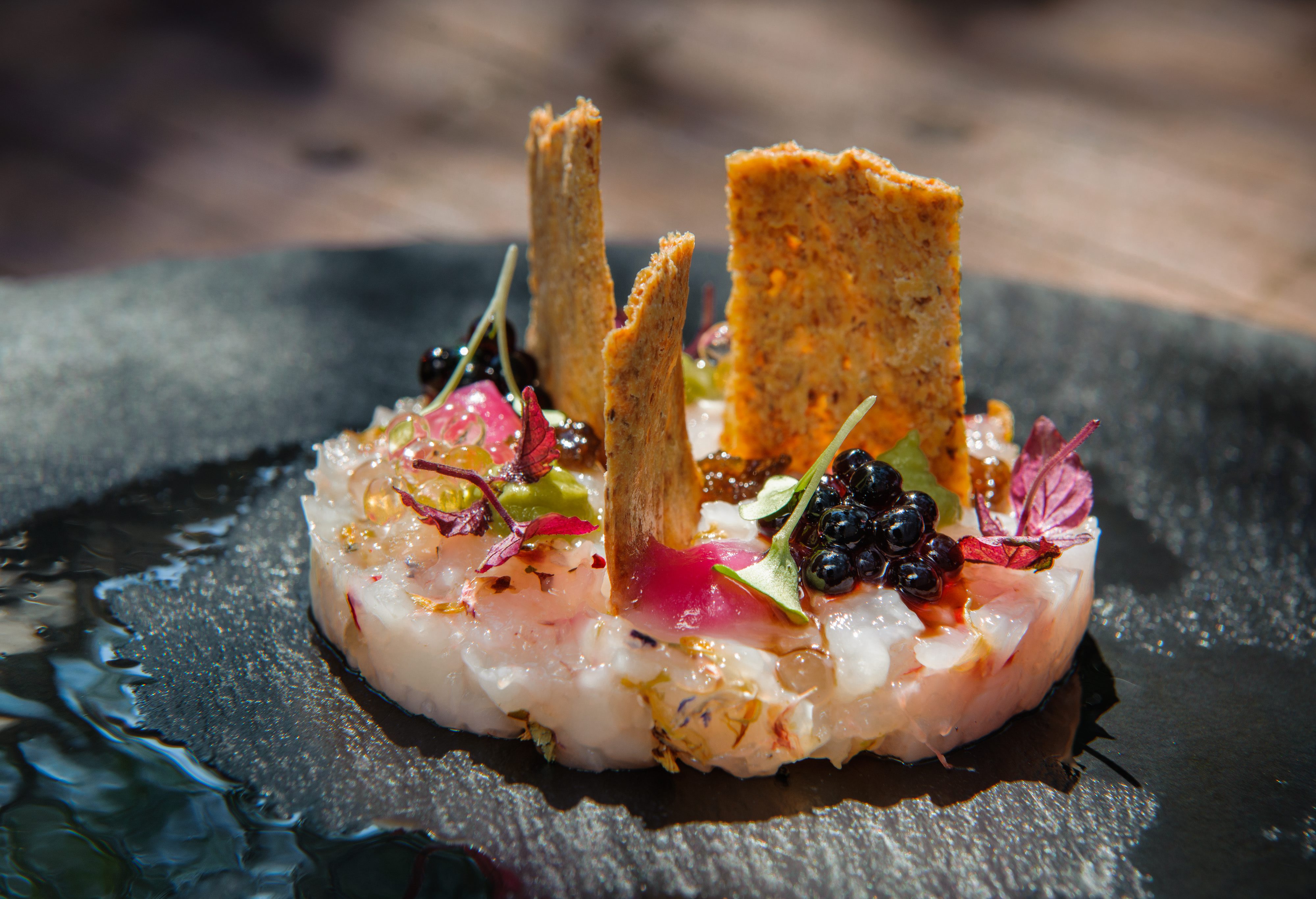 jastog_zirojevic8-240617