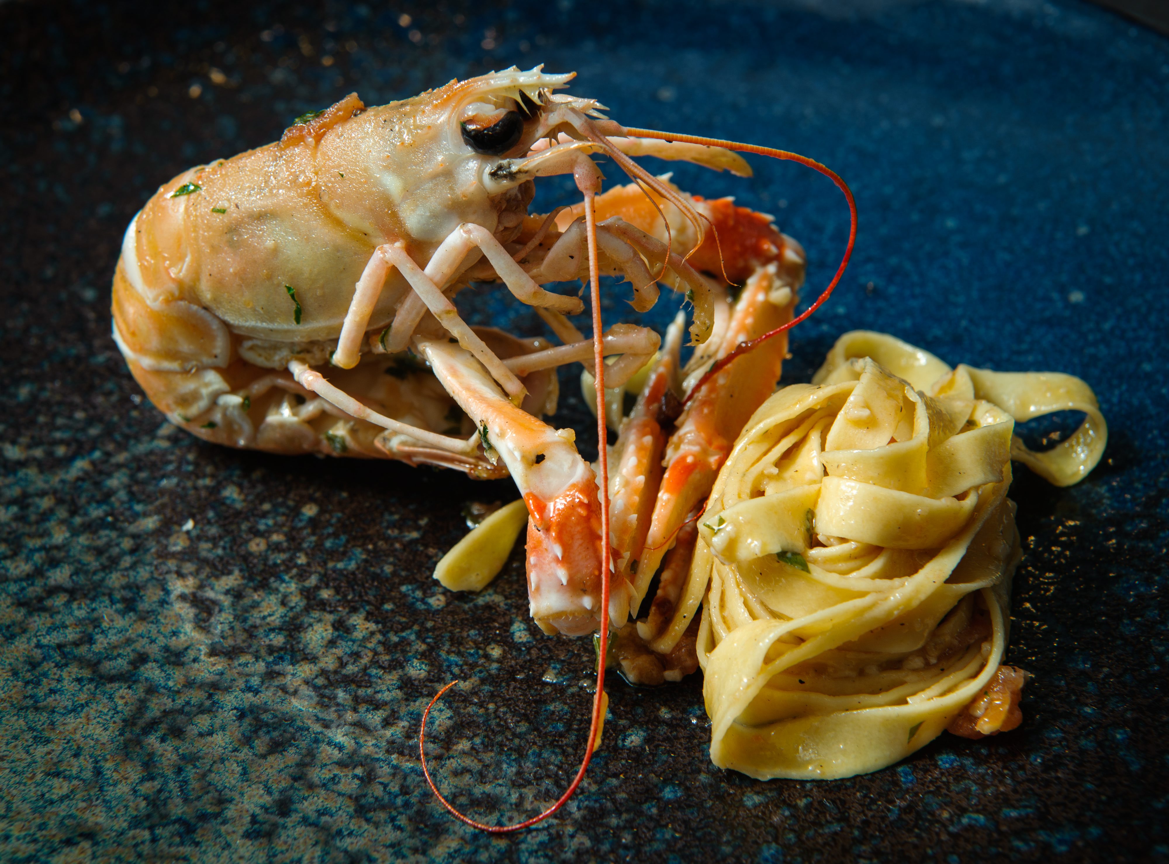 sanjin_skampi15-280617