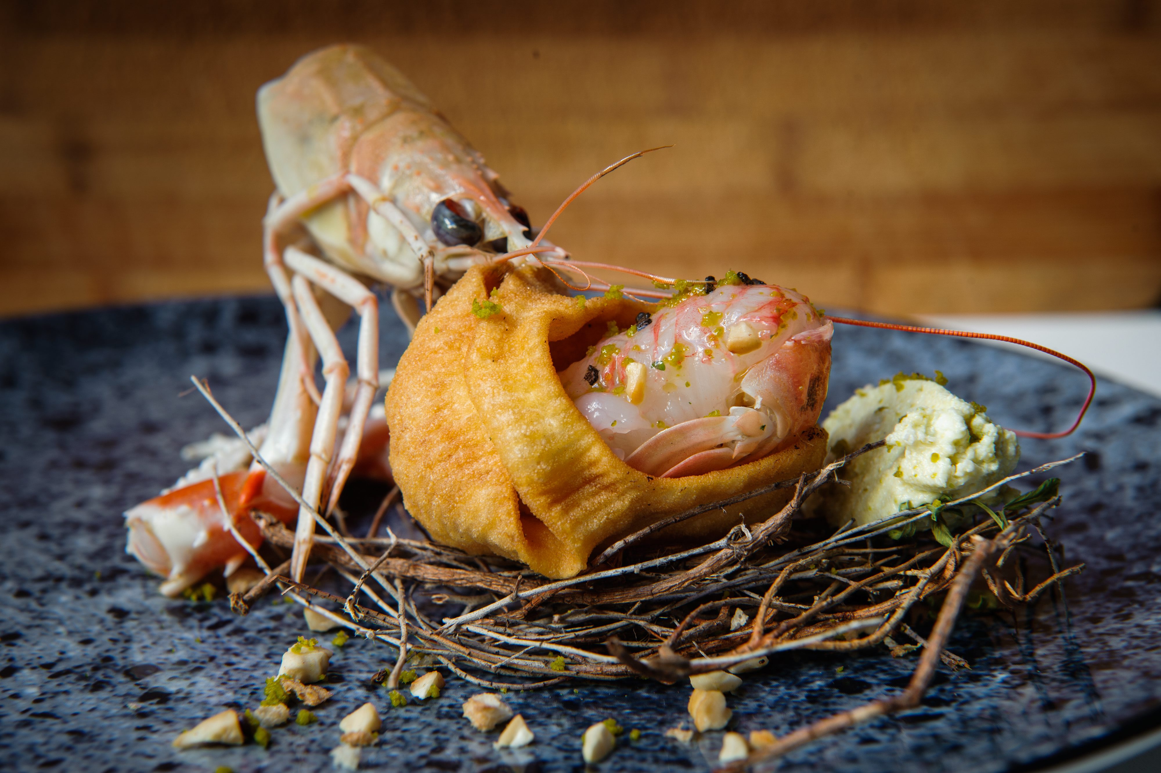 sanjin_skampi5-280617