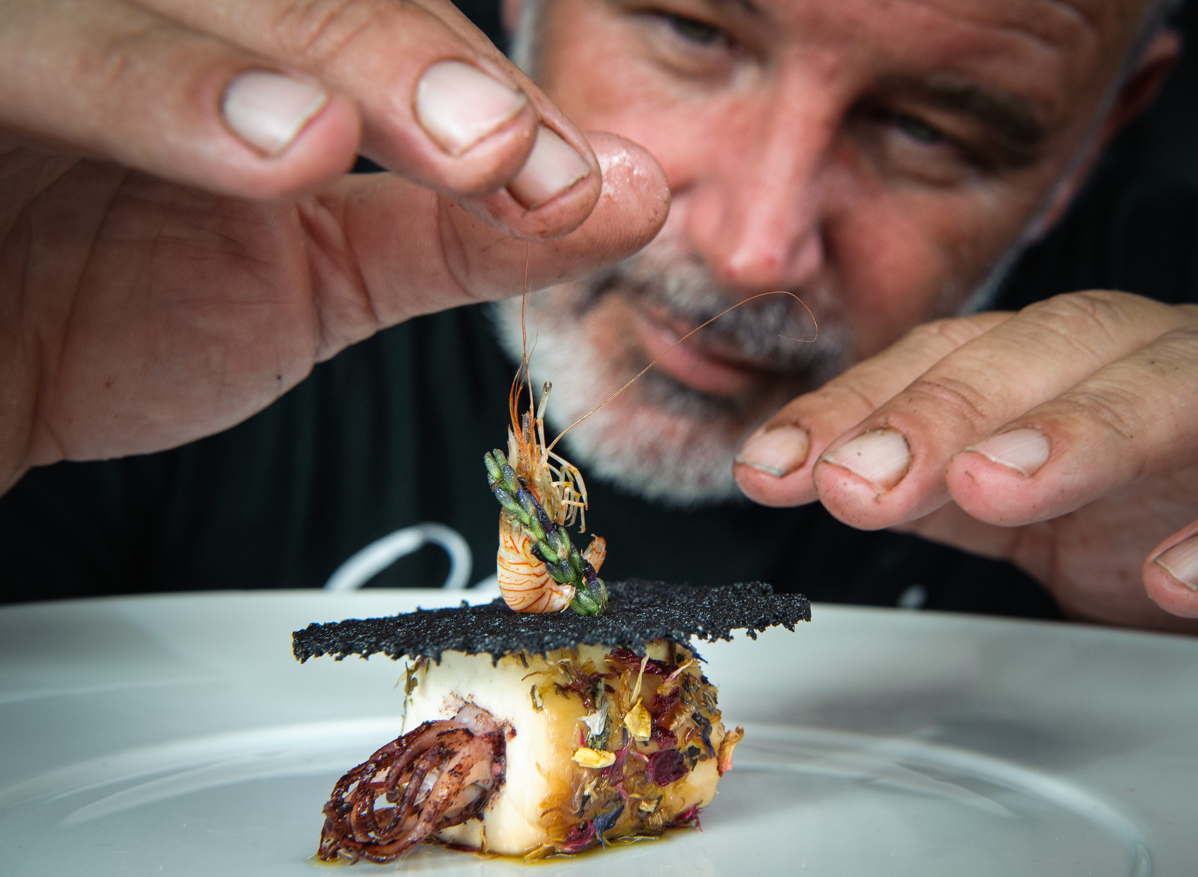 jastog_zirojevic23-240617