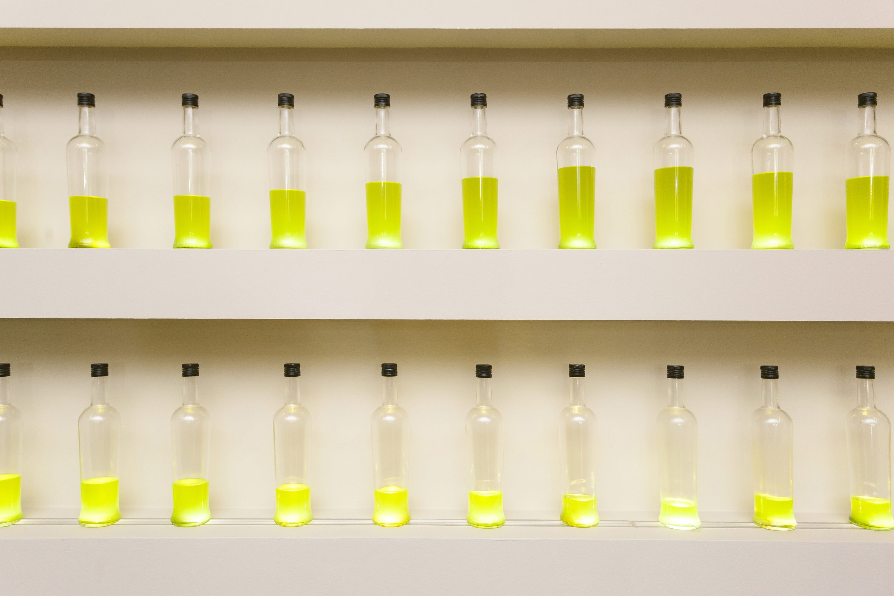 maslinarstvo23-190417