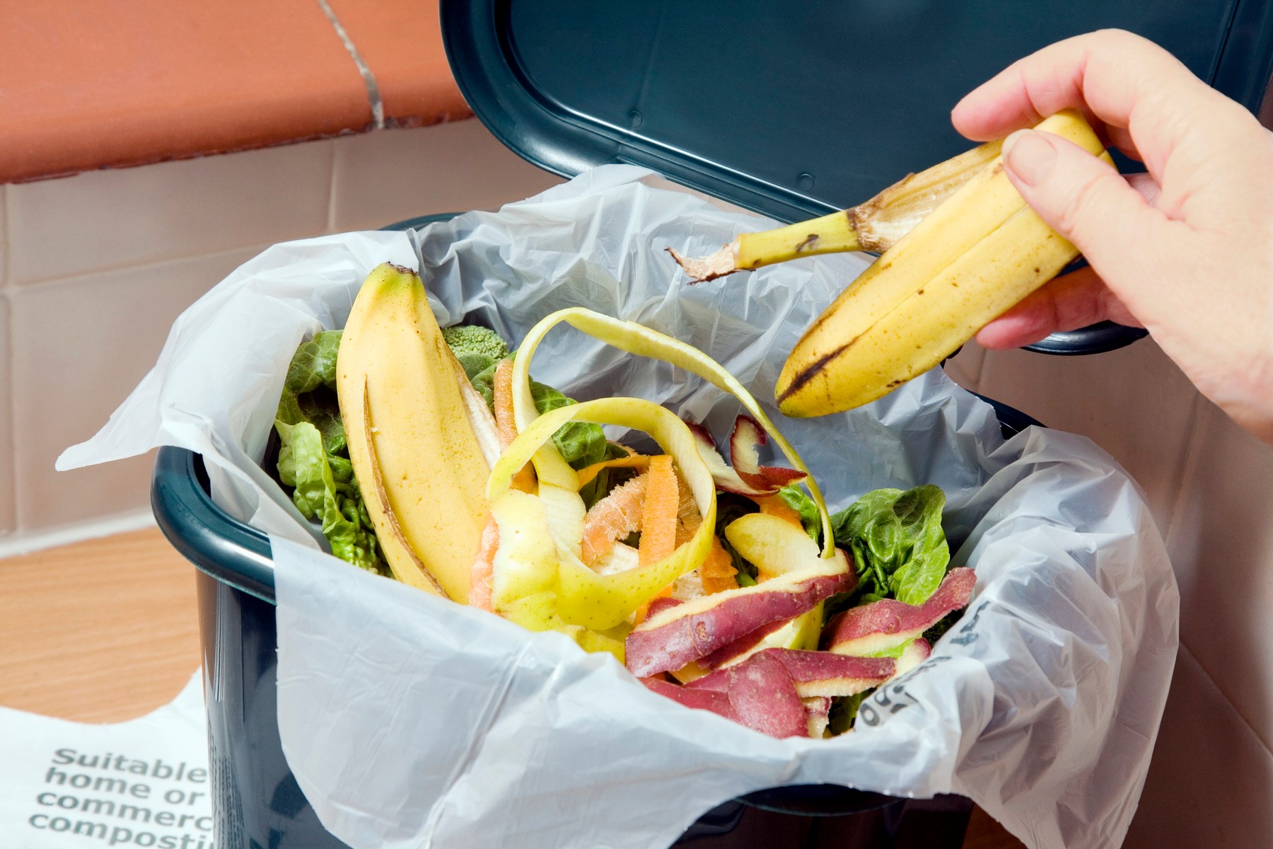 profimedia-0103020804