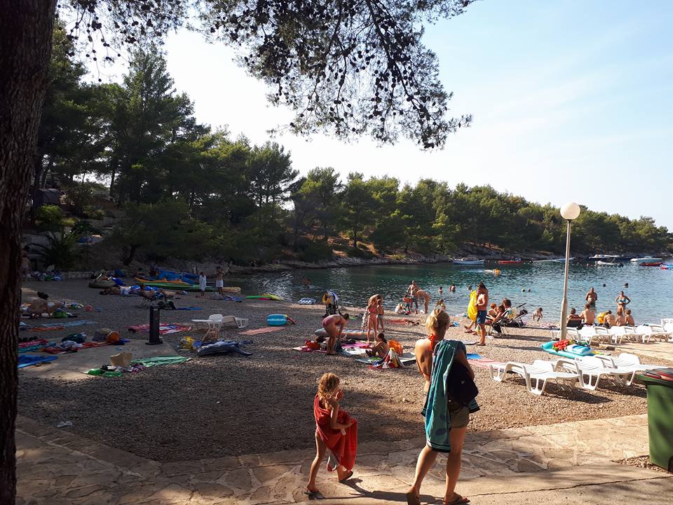 20246003_1878074692453336_6343247567923985781_n