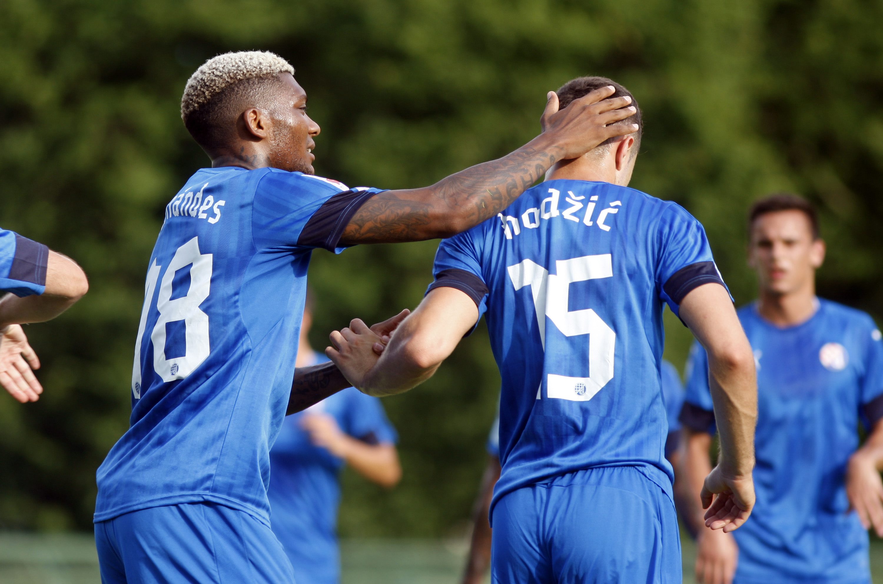 dinamo_vorskla6-070717