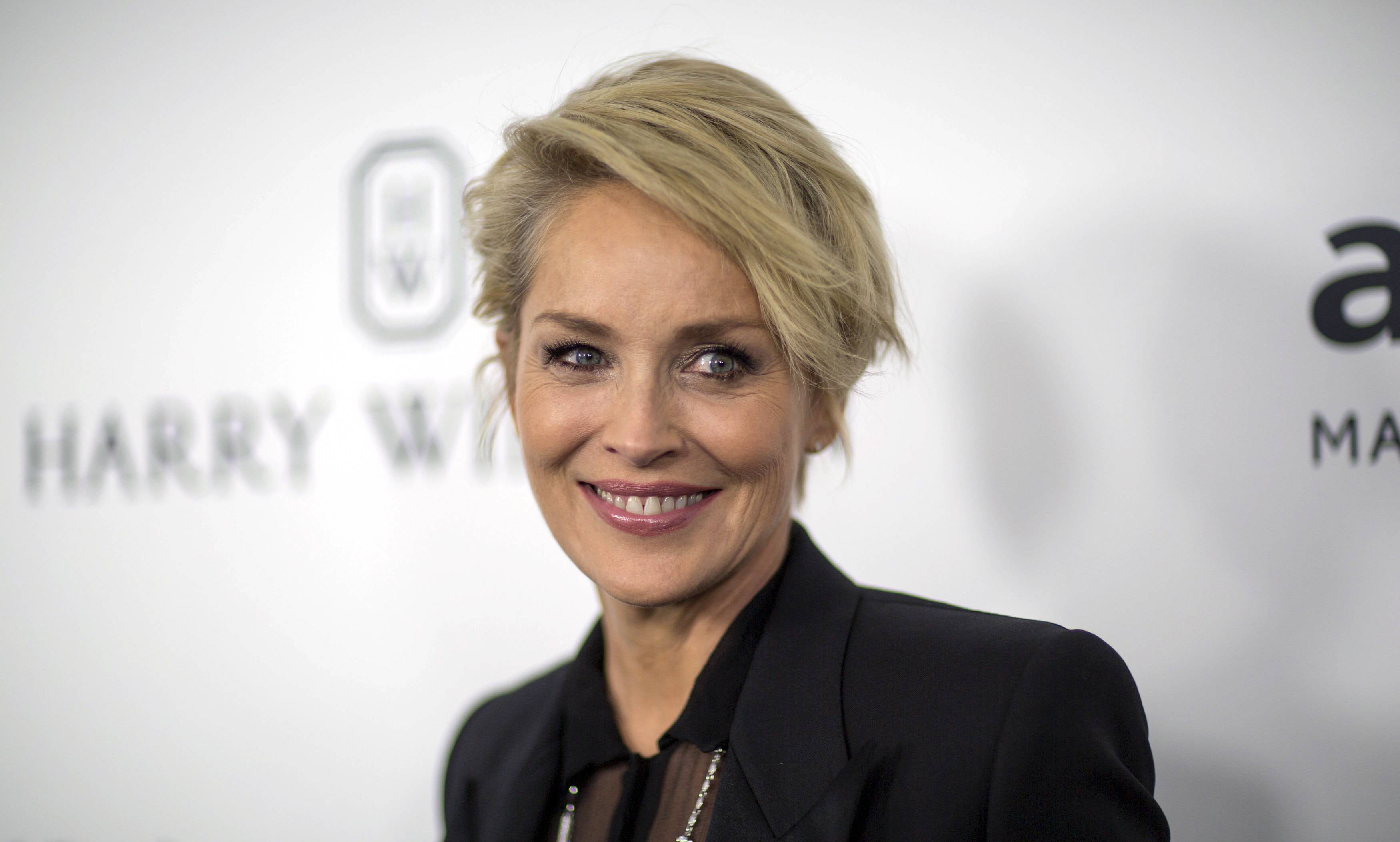 Sharon Stone 2015.