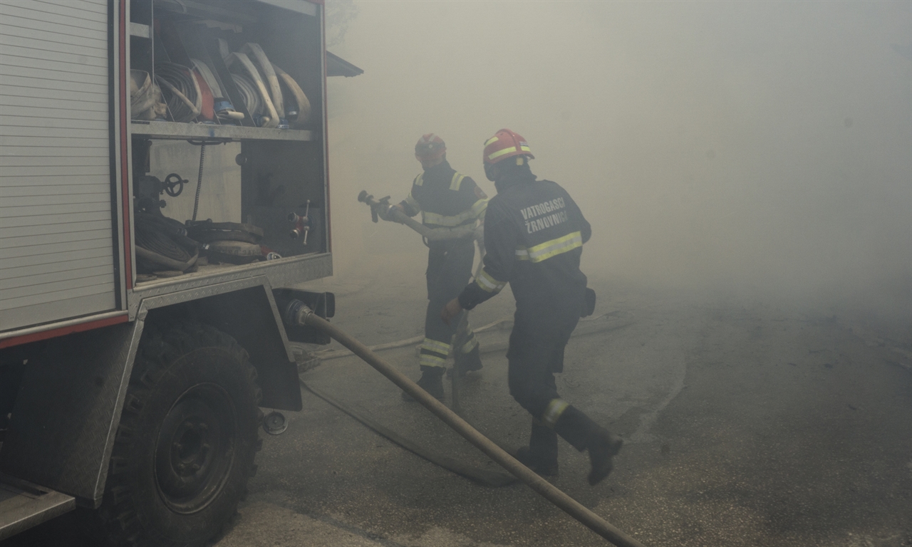 dvd_zrnovnica1-210717