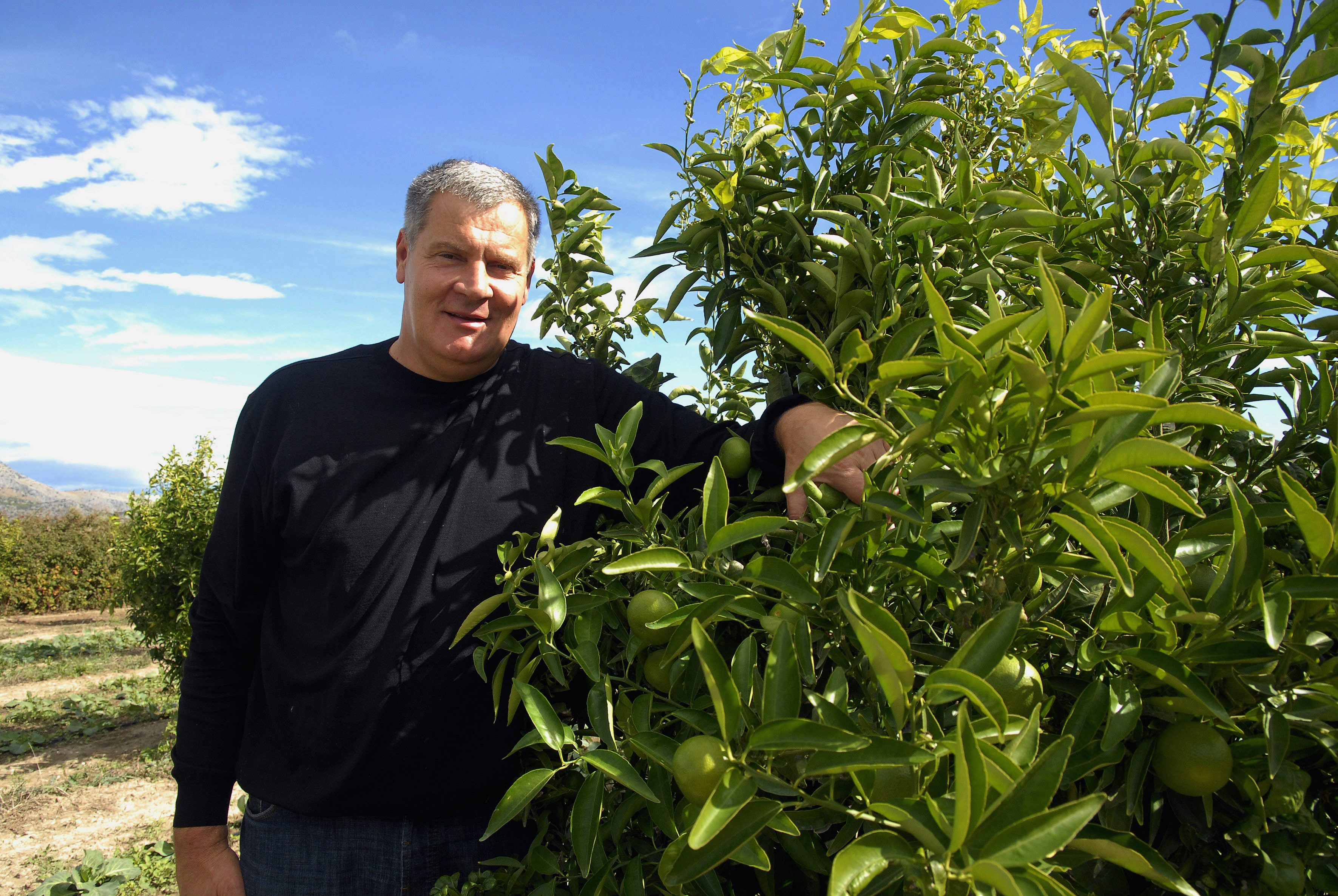 Stipe Gabrić Jambo u svojim nasadima mandarina i maslina