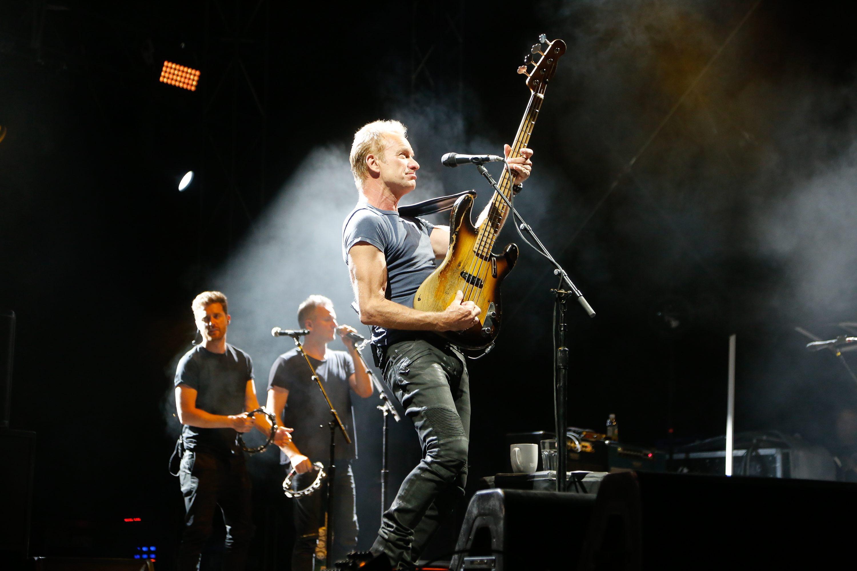 sting_arena17-260717