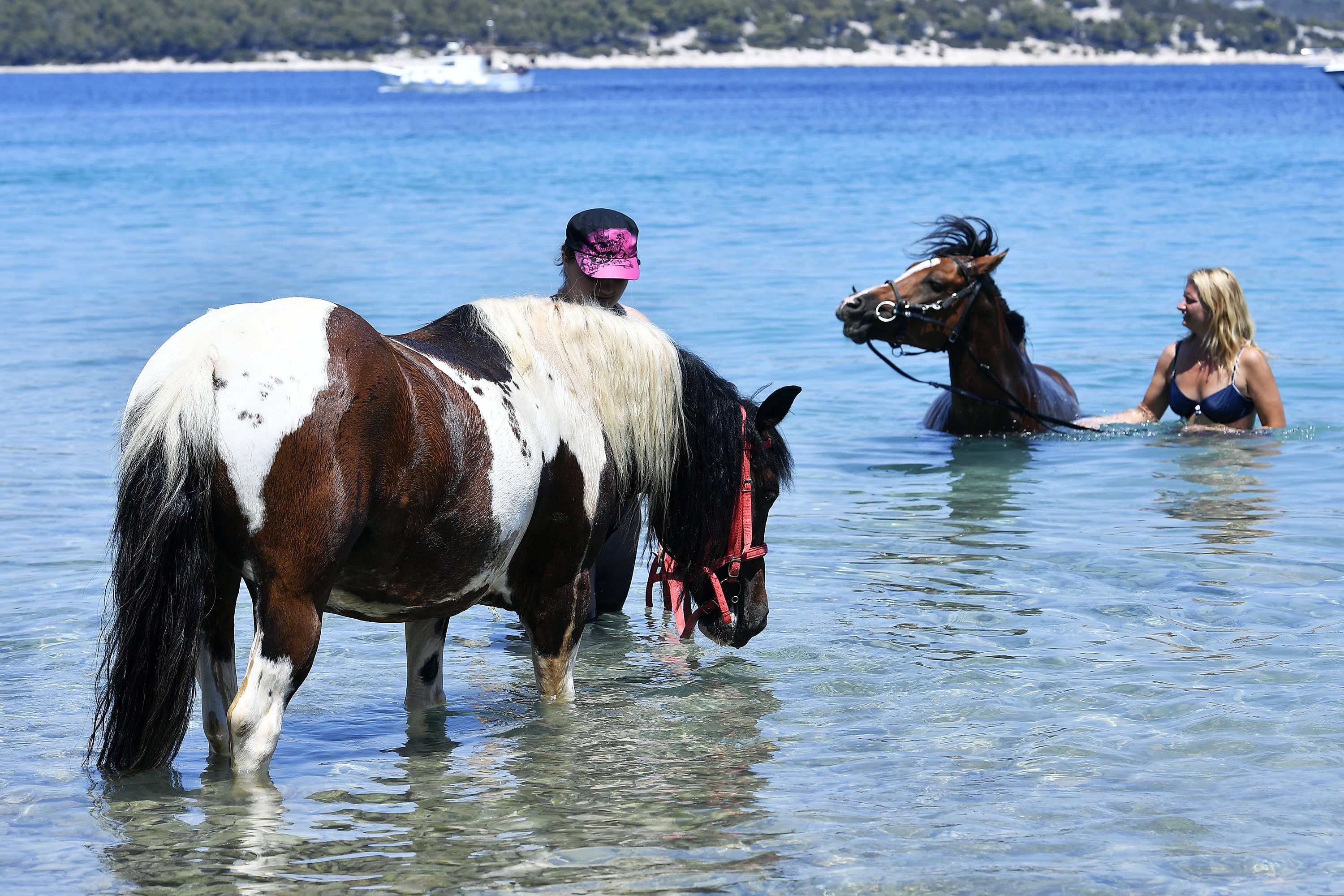 farma_kukurin6-230717