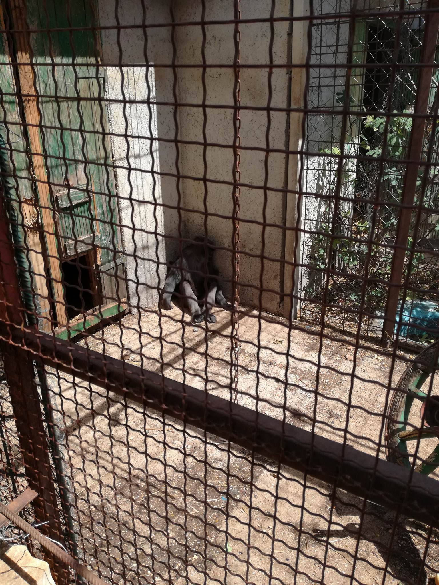 20368772_514236828907631_4503534390384759673_o