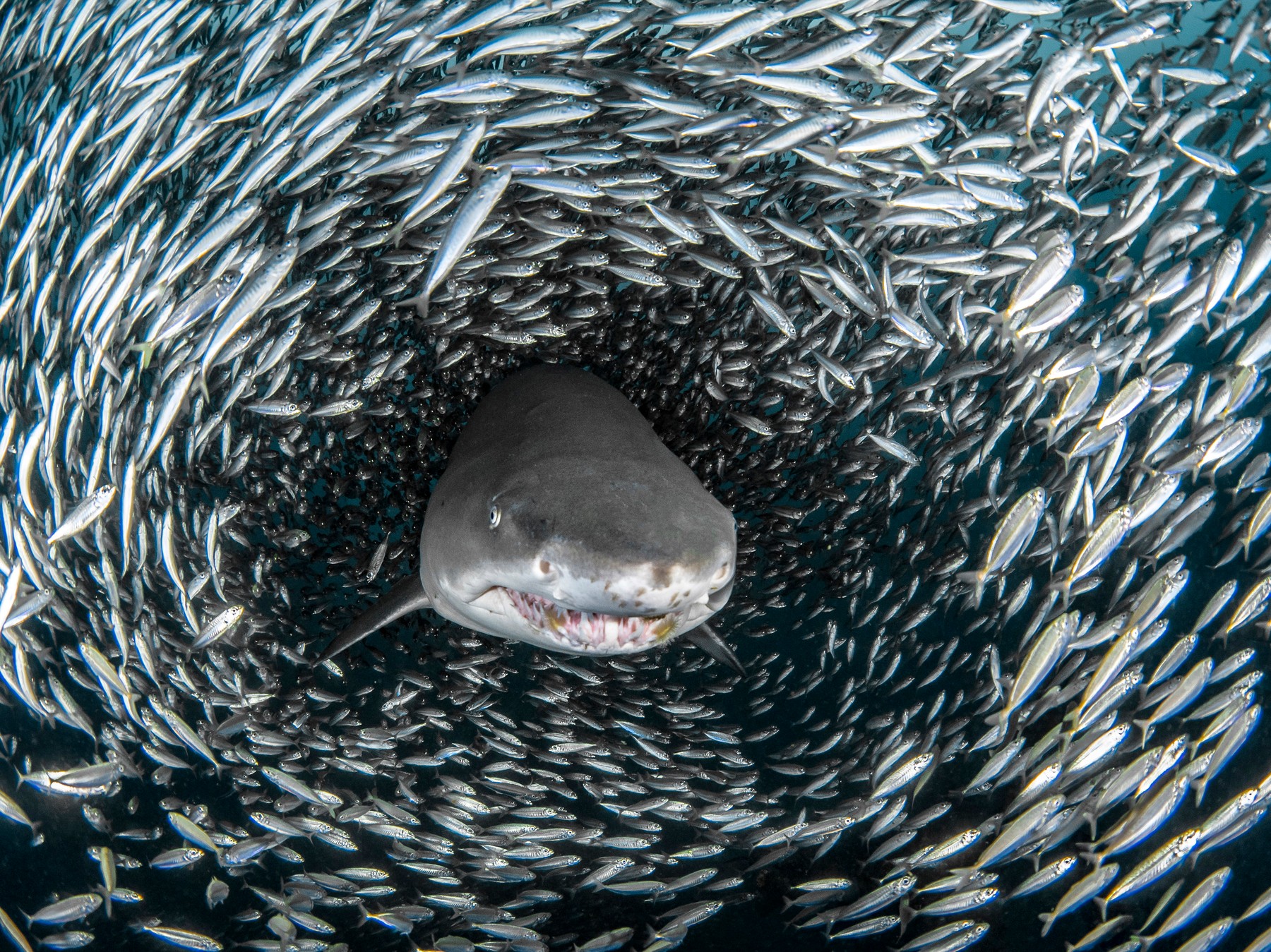 profimedia-0343654417