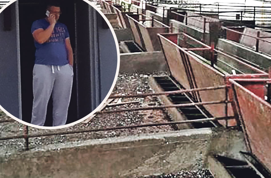 Osumnjičeni Igor Vuković (u krugu) na farmi s koje su se tjedan odvozile svinje