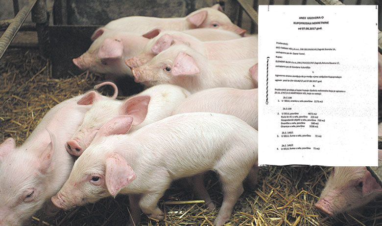 Damir Tomić, novi vlasnik Eko Farme Ves, ustupio nam je dokumente za koje tvrdi da ih je naivno potpisao u dobroj vjeri