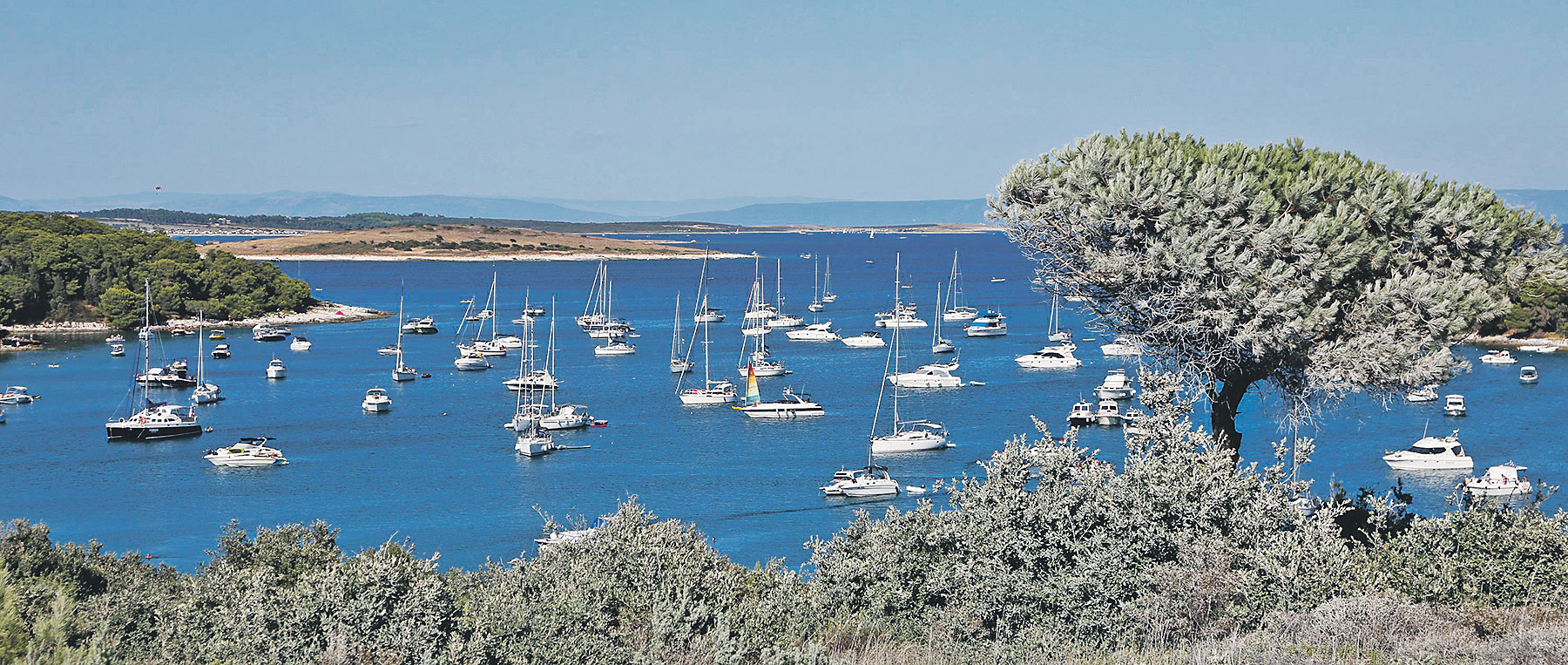 139872-180372-kamenjak_turi