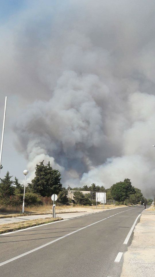 20953693_799998743493763_6084893170394072951_n