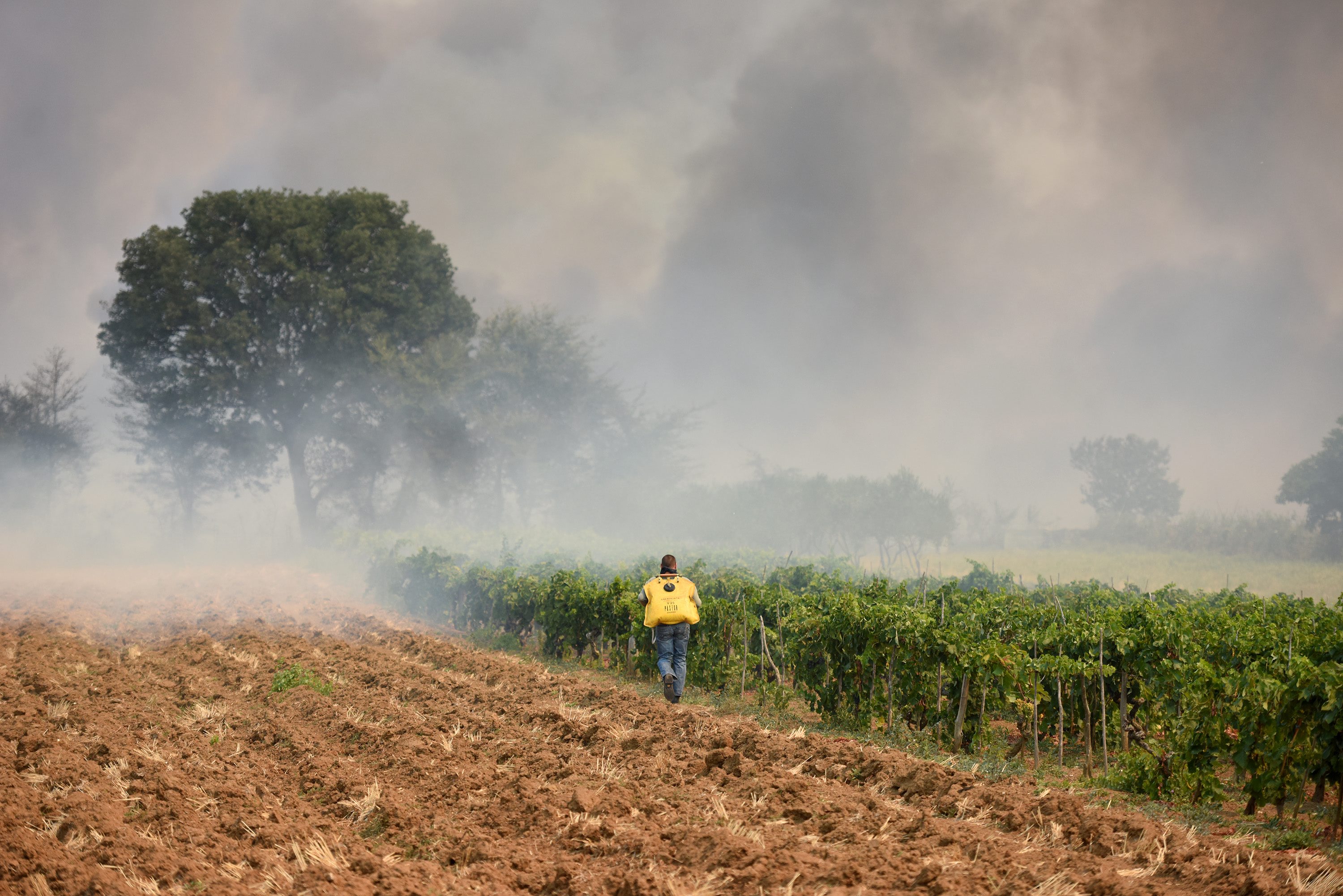 Ilustrativna fotografija