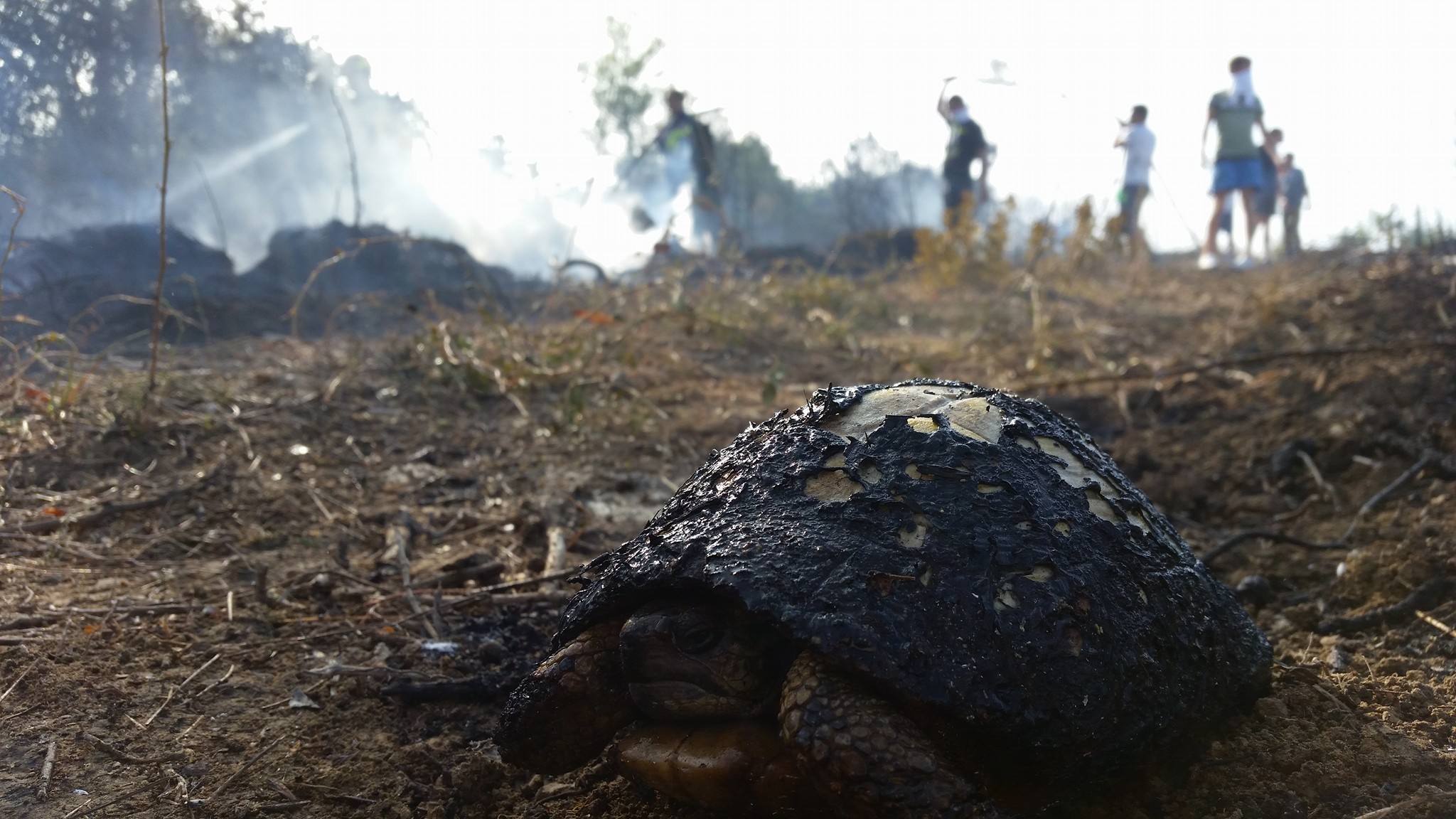 20989192_10212774502814005_8744105290136580134_o