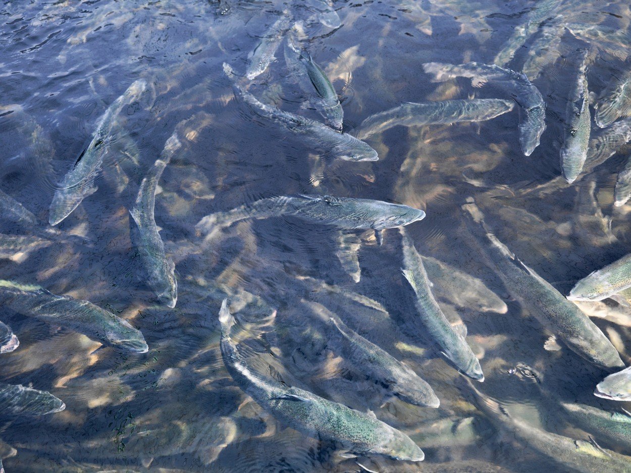 profimedia-0295802226