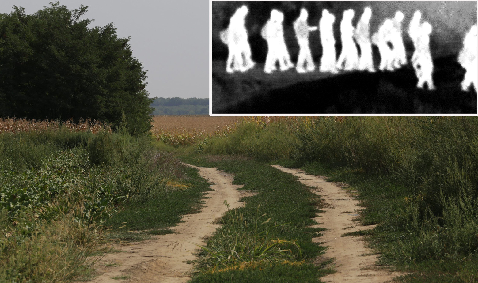 Put pokraj mjesta Cerić i infracrvena snimka 