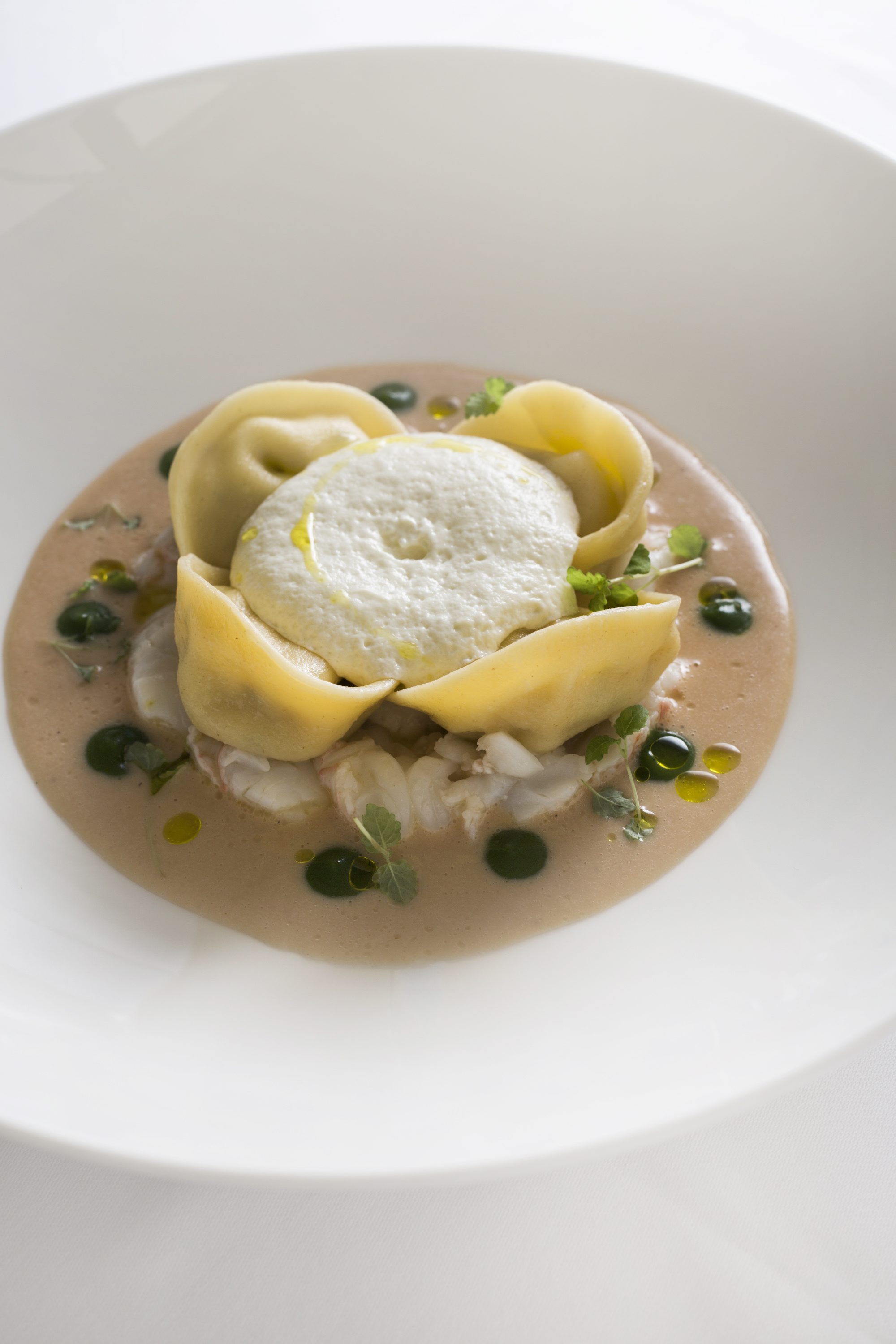 kvarnerski_skamp11-260716.J