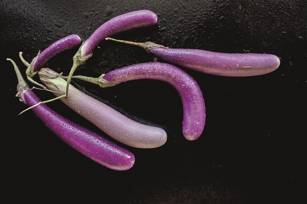 mateja-patlidzan4-300816