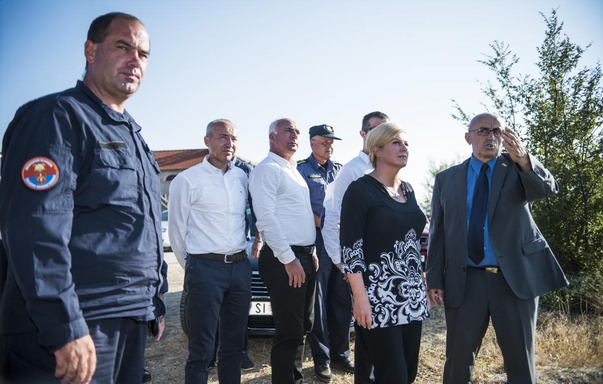 Damir Krstičević, Goran Pauk, Kolinda Grabar-Kitarović