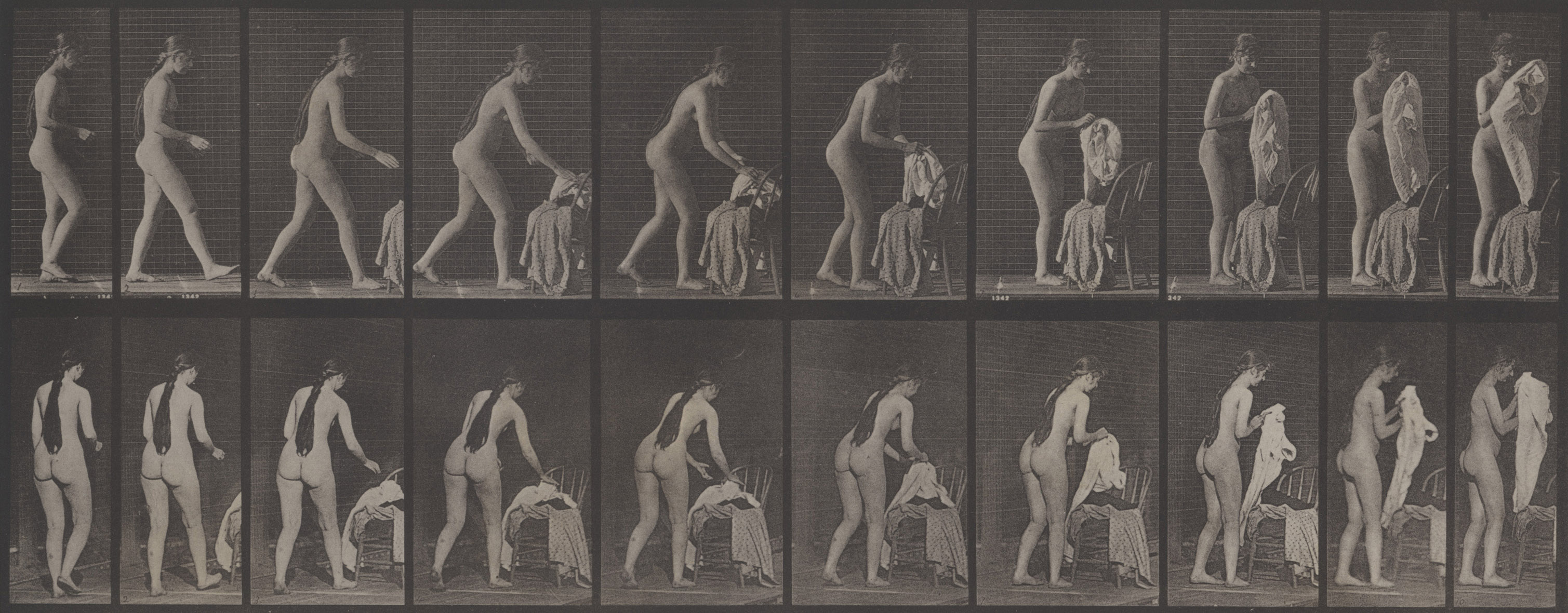 Muybridge
