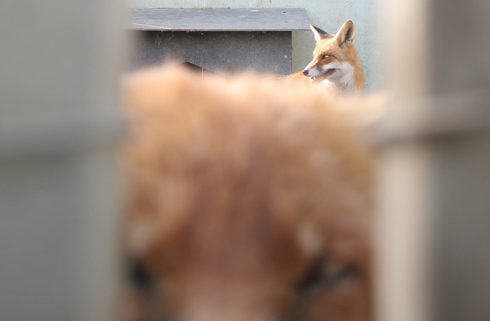 Arhivska fotografija